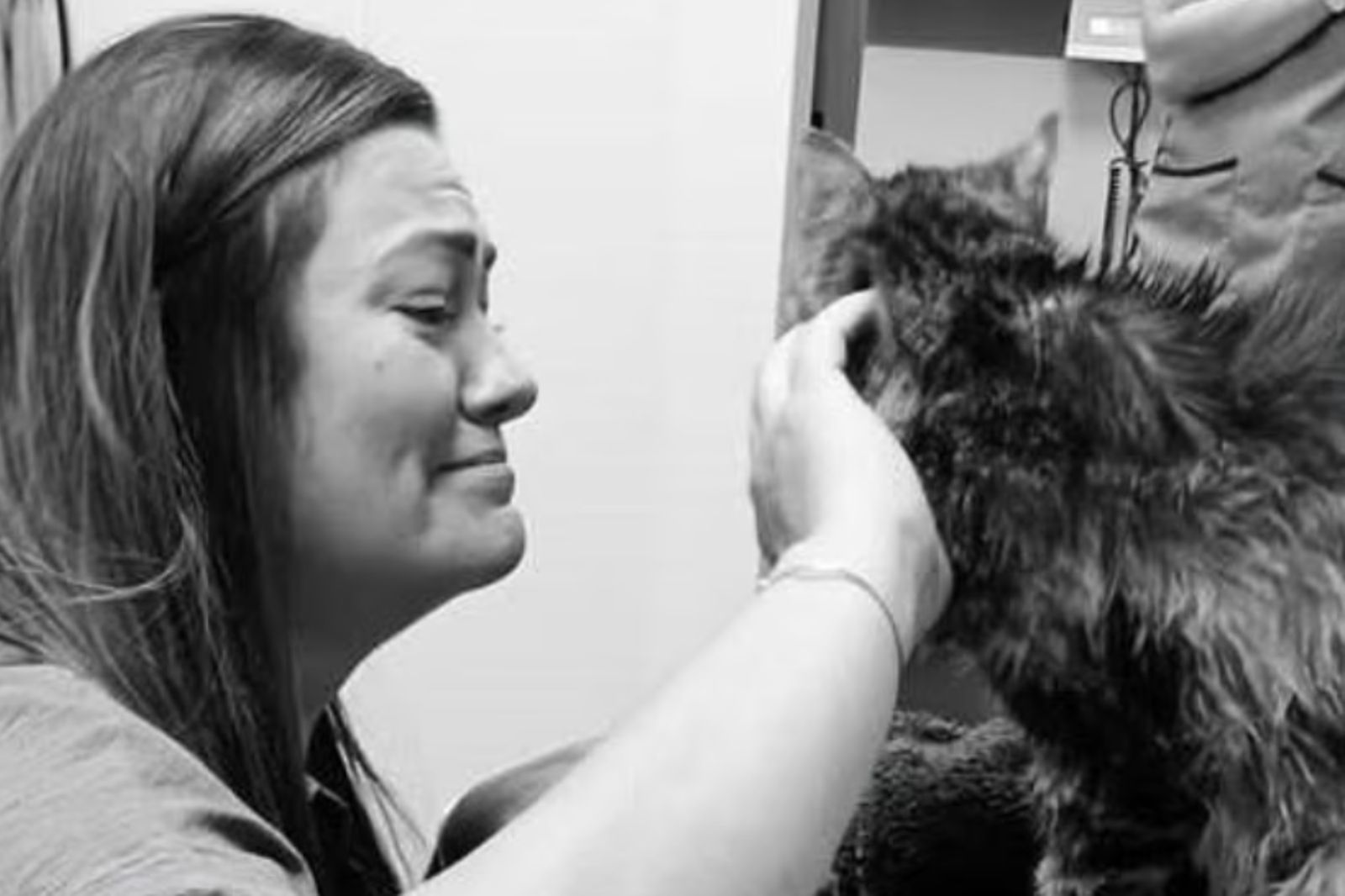 愛貓失蹤13年！225公里外與主人再次相聚　結局滿滿洋蔥