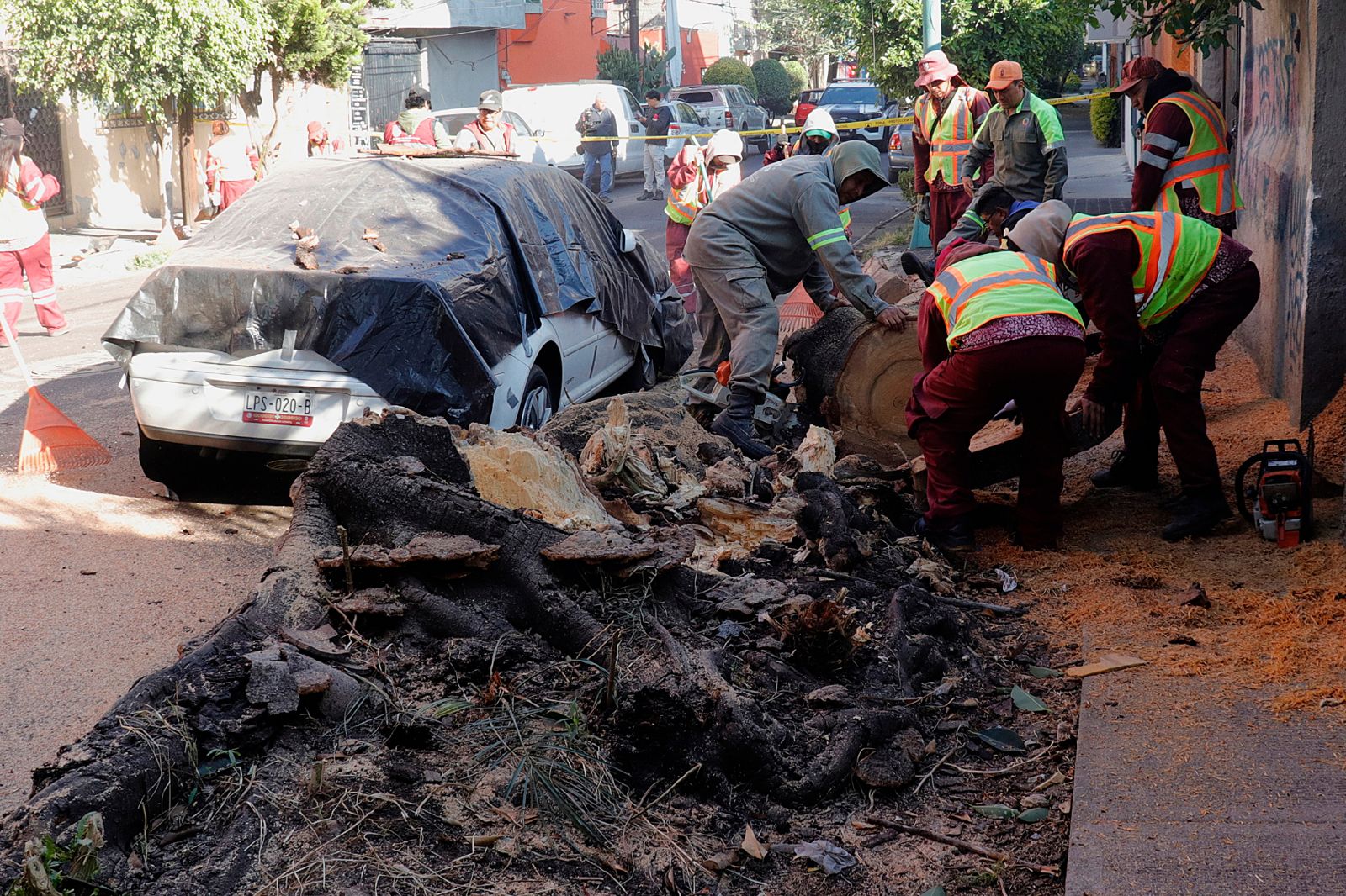 墨西哥6.5強震！總統記者會中斷　67歲男避難摔死