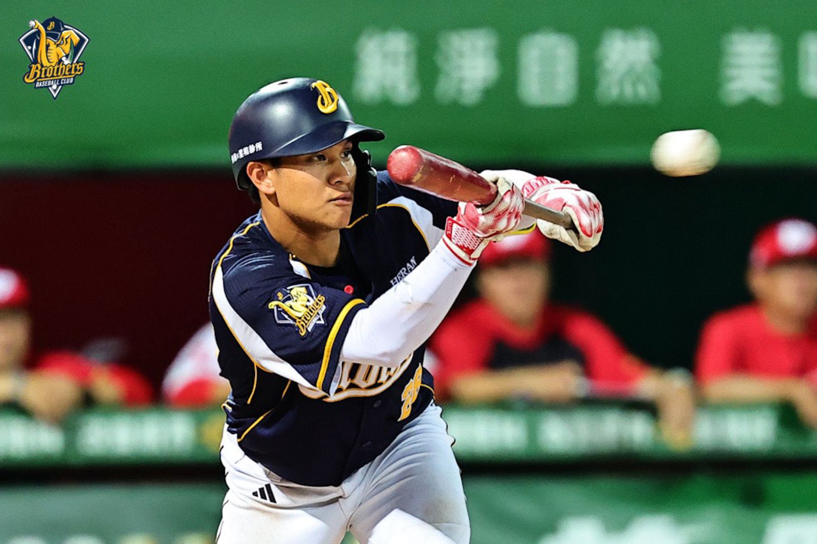 中職/羅戈7局好投、張仁瑋攻守俱佳 兄弟4:3險勝味全