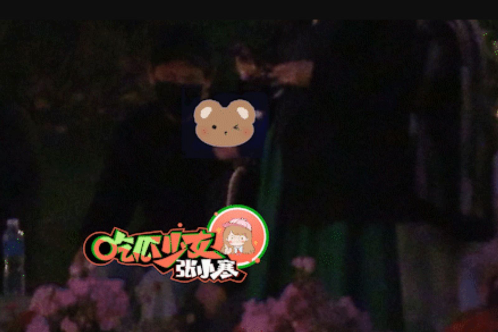 趙德胤帶趙麗穎兒子看煙火。圖／微博@吃瓜少女張小寒