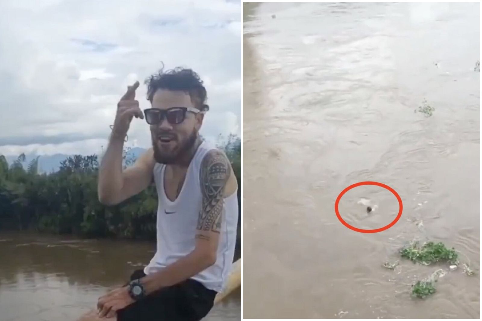 你不是霍諾德！他挑戰極限跳橋拍流量片　直接變死亡直播