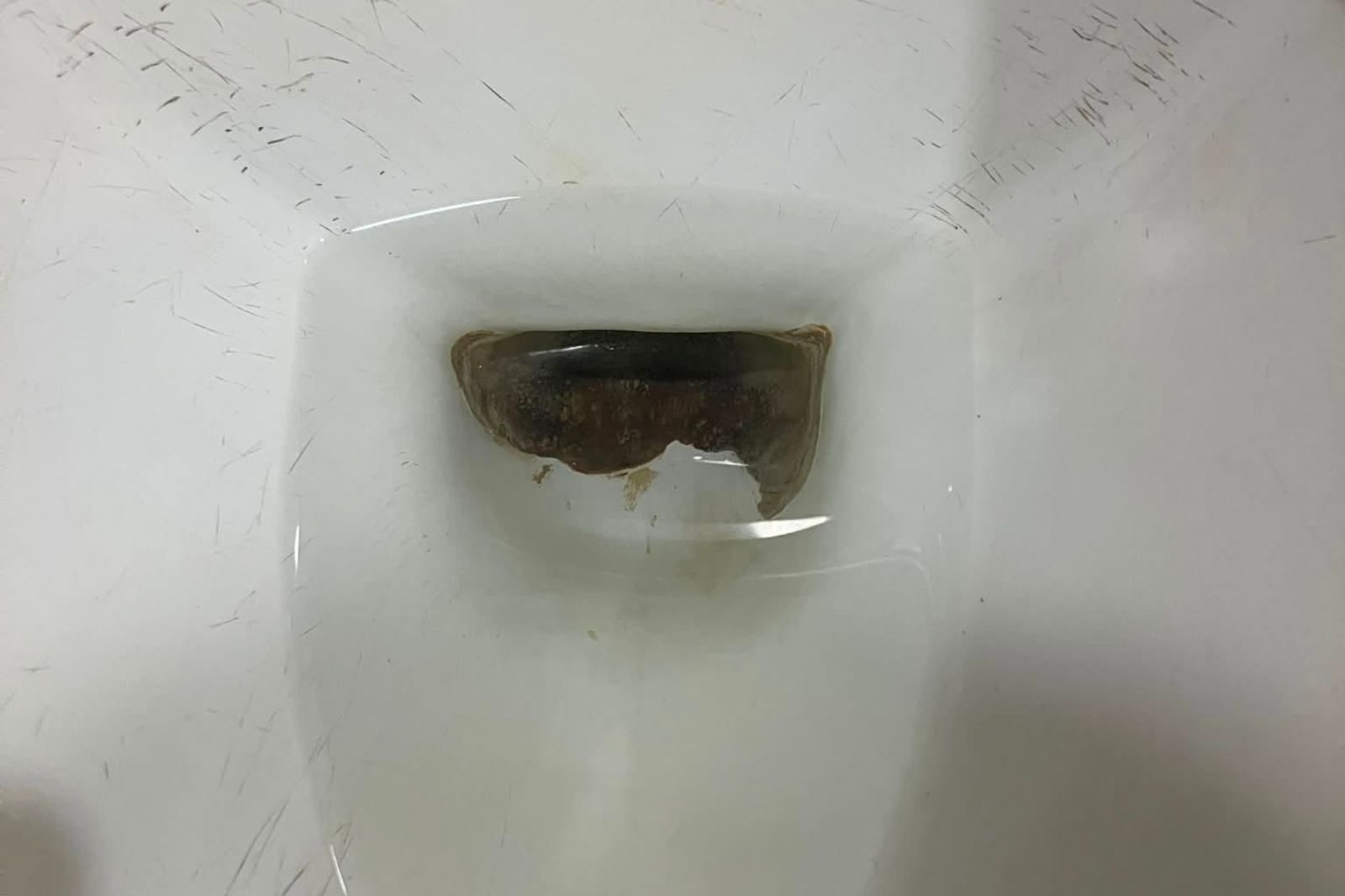 馬桶深處頑垢刷不掉!內行人曝「簡單1招」輕鬆清潔:24小時就見效