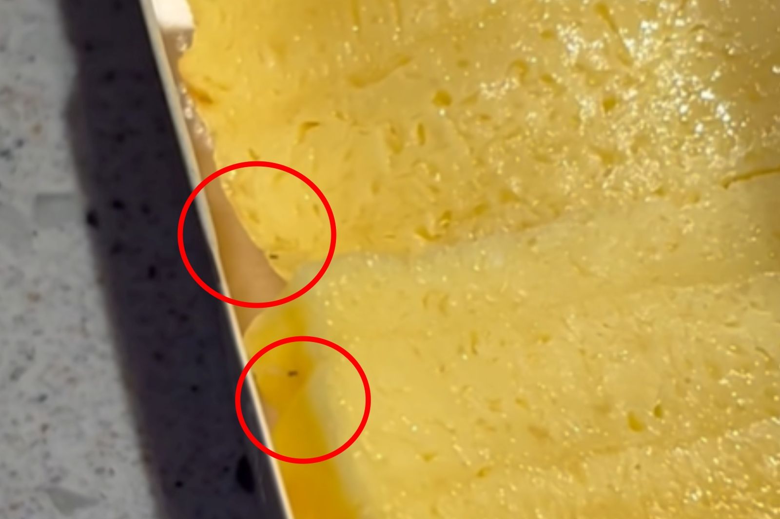 就連玉子燒壽司上面都有大量的蛆在蠕動。圖/FB