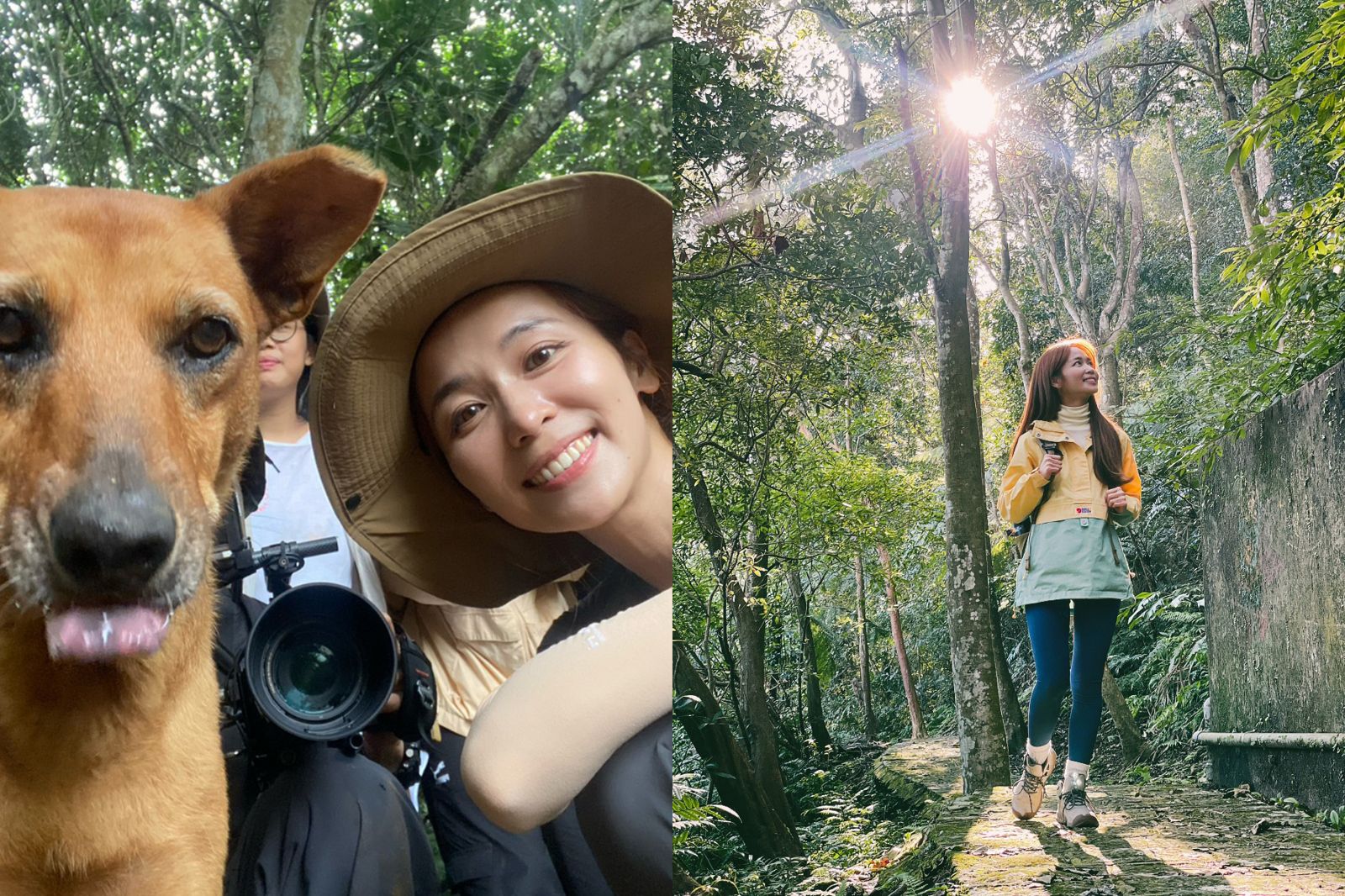 金鐘60／《客家采風》陳明珠連3年入圍　最難忘小黃狗如「山神派來的守護者」