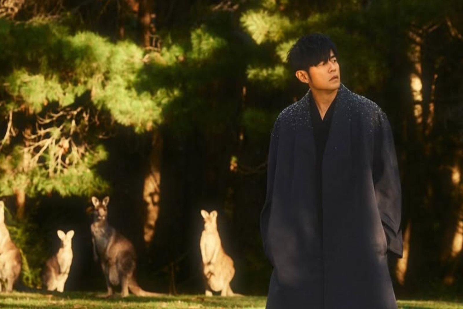 周杰倫「被袋鼠圍觀」背後原因曝光！昆凌今現身曝老公自信心爆棚