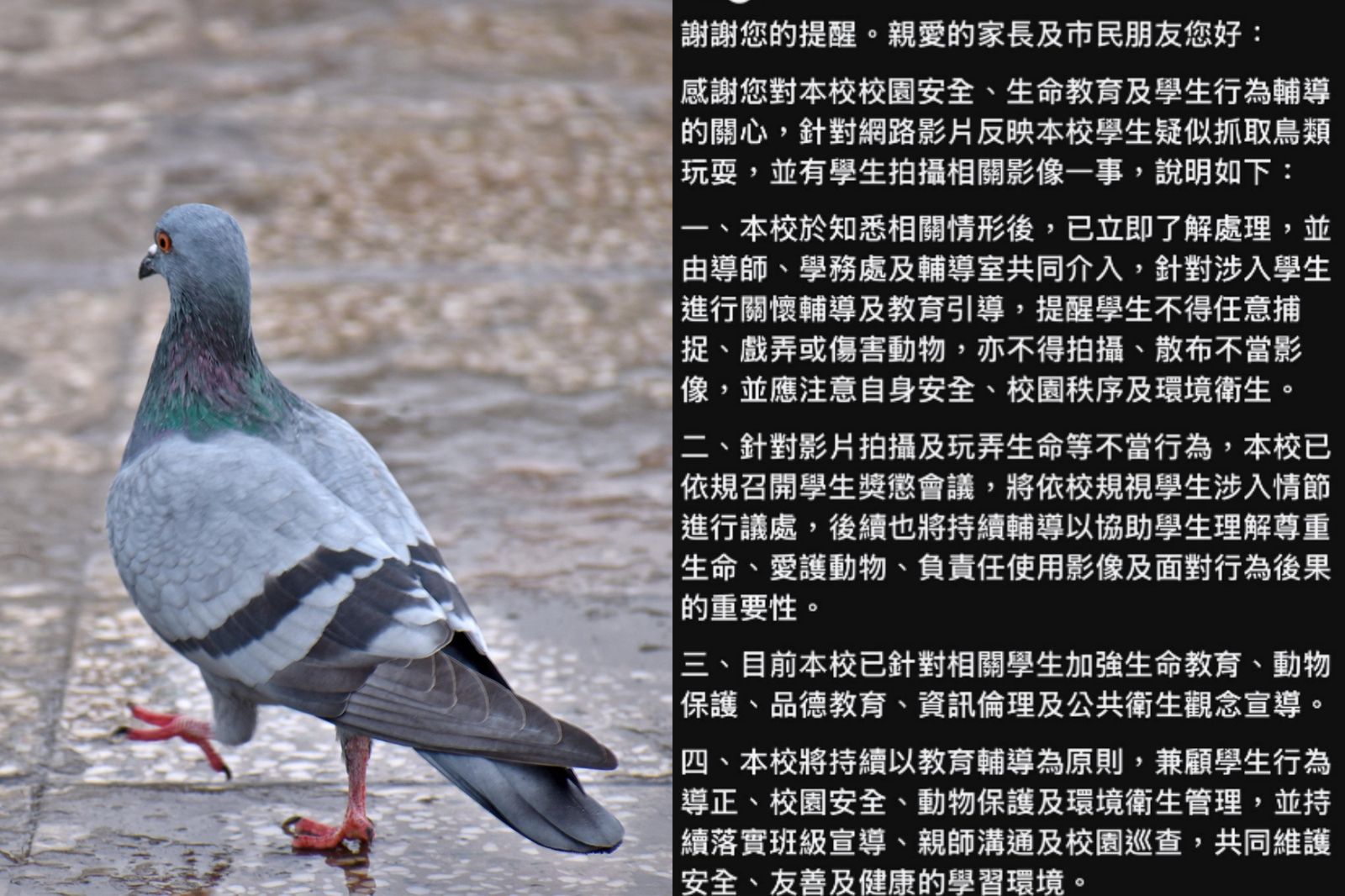台南國中生殘暴「虐鳥片」瘋傳!冷血對話流出...校方籲別公審:避免二次傷害