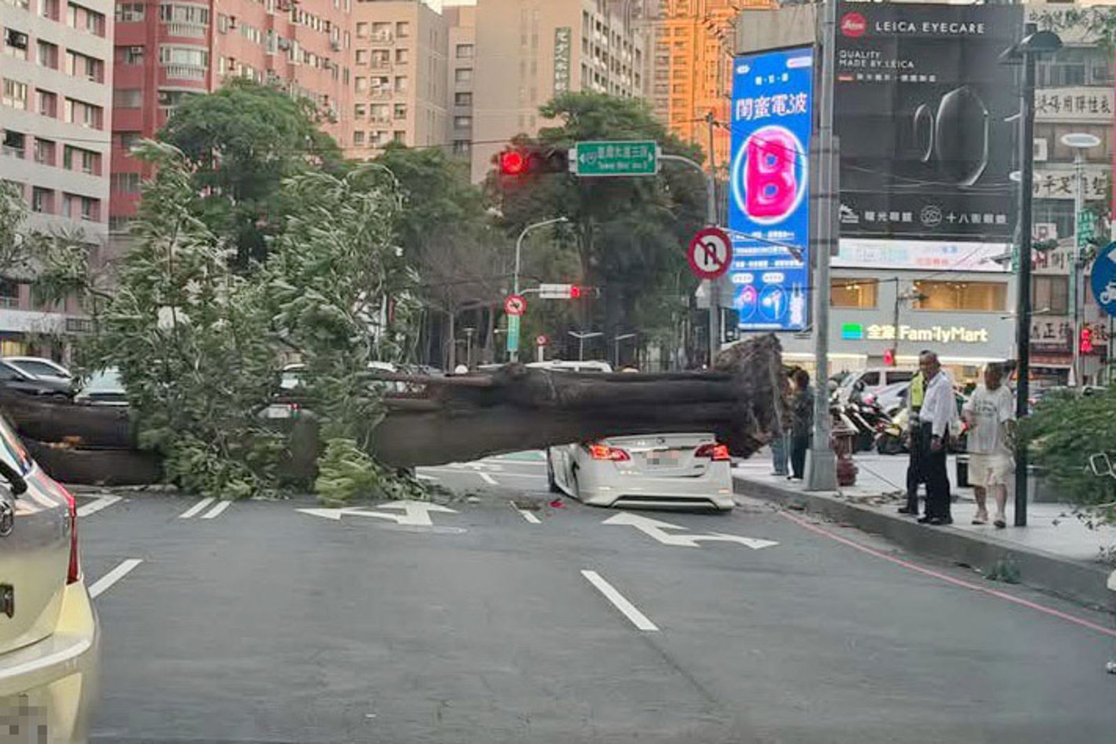 台中市區的路樹突然倒塌,路過的白色轎車當場被砸中。圖/台灣小車隊小淵提供