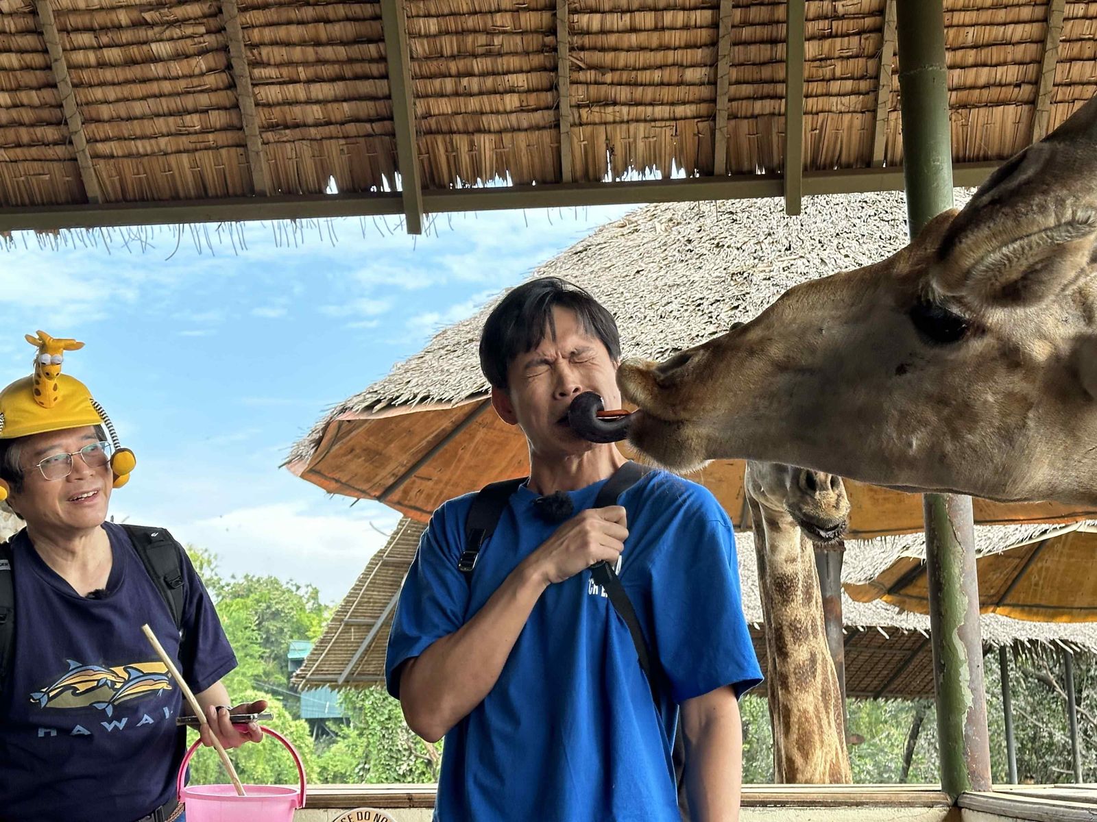 黃鐙輝遭猩猩「襲擊重要部位」　讚長頸鹿「吻戲很專業」