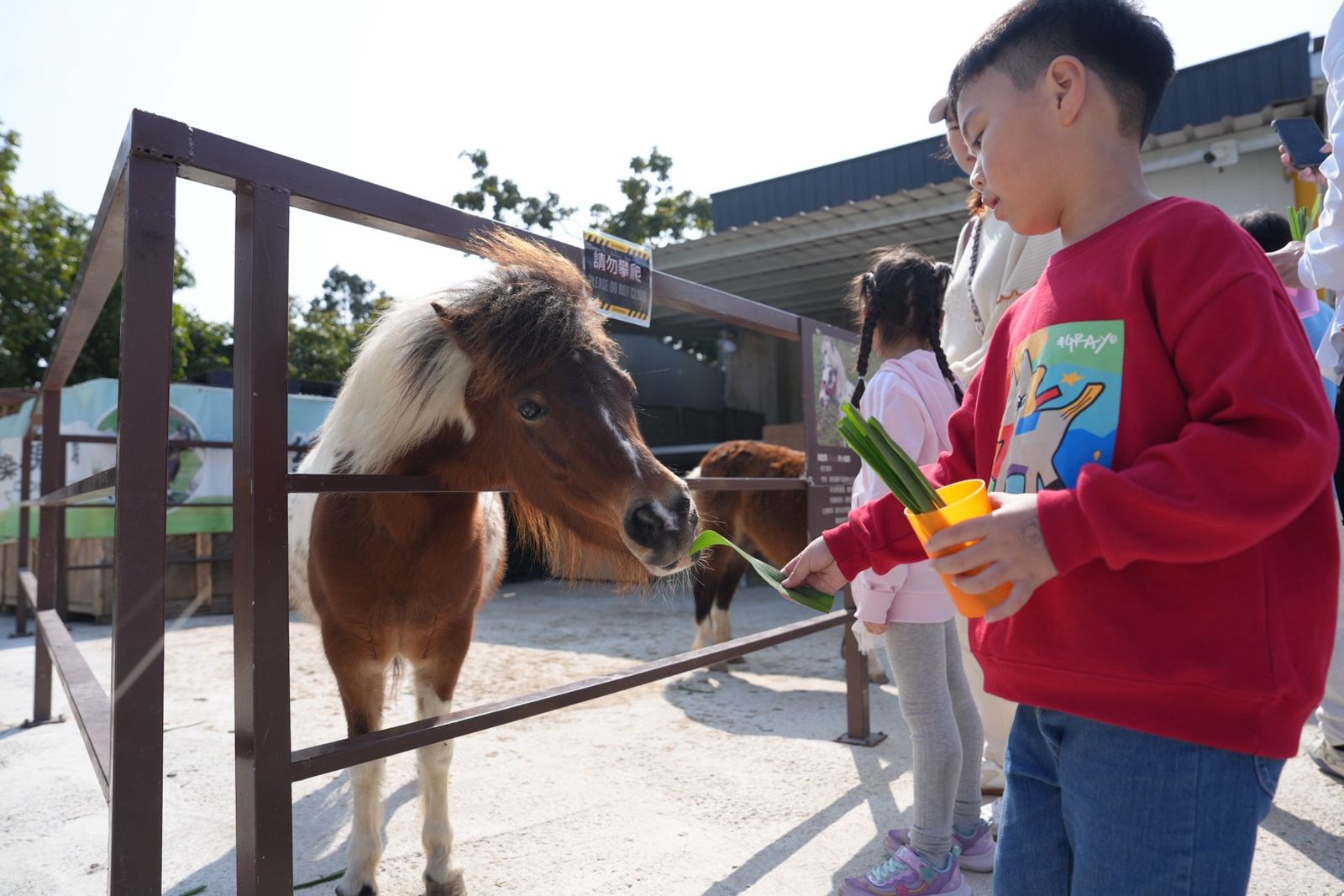 一票玩樂園還送親子農場體驗,小孩看動物、大人放空遛孩,年節氣氛直接拉滿。圖/麗寶樂園