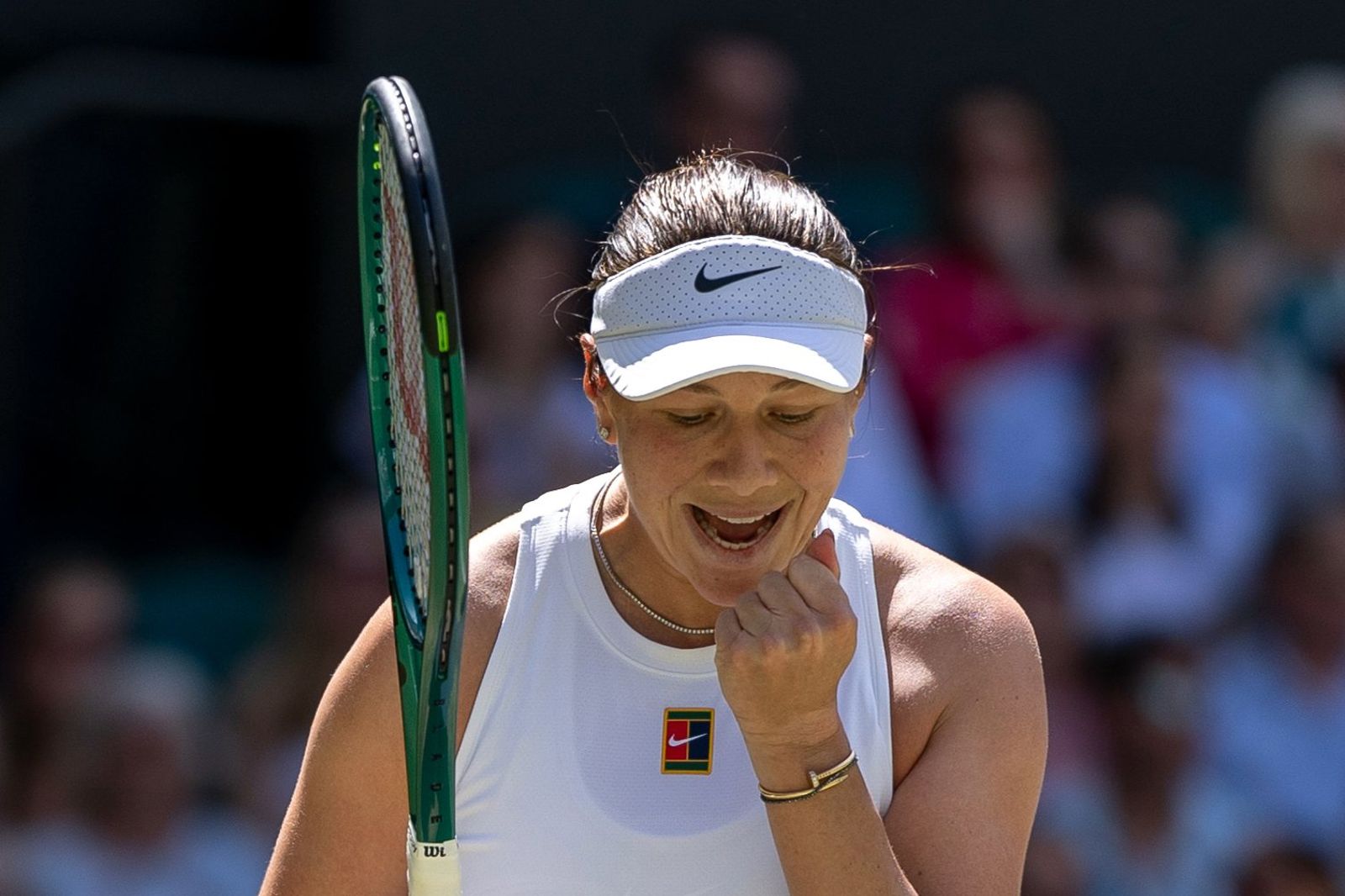 溫網／父逝、低潮與復出　Anisimova寫下重生故事