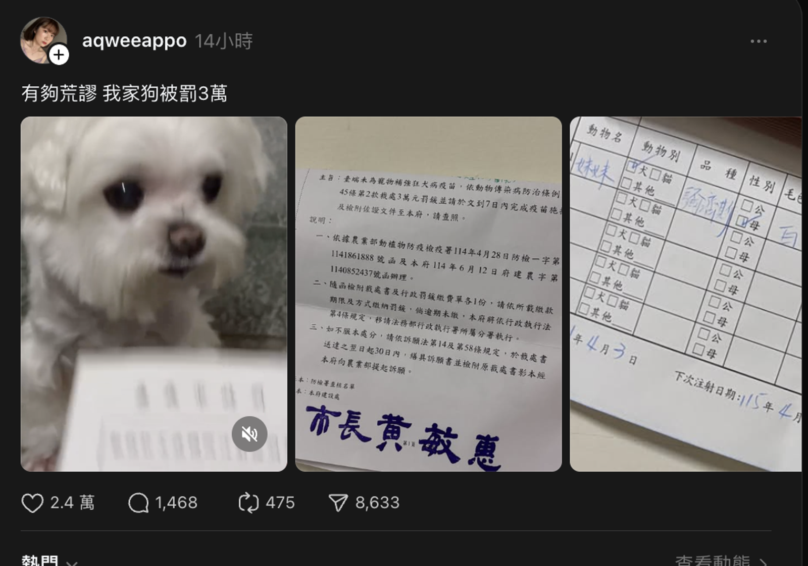 一名飼主抱怨已替愛犬「妹妹」施打狂犬病疫苗,仍被政府開罰。圖/翻攝自@aqweeappo Threads