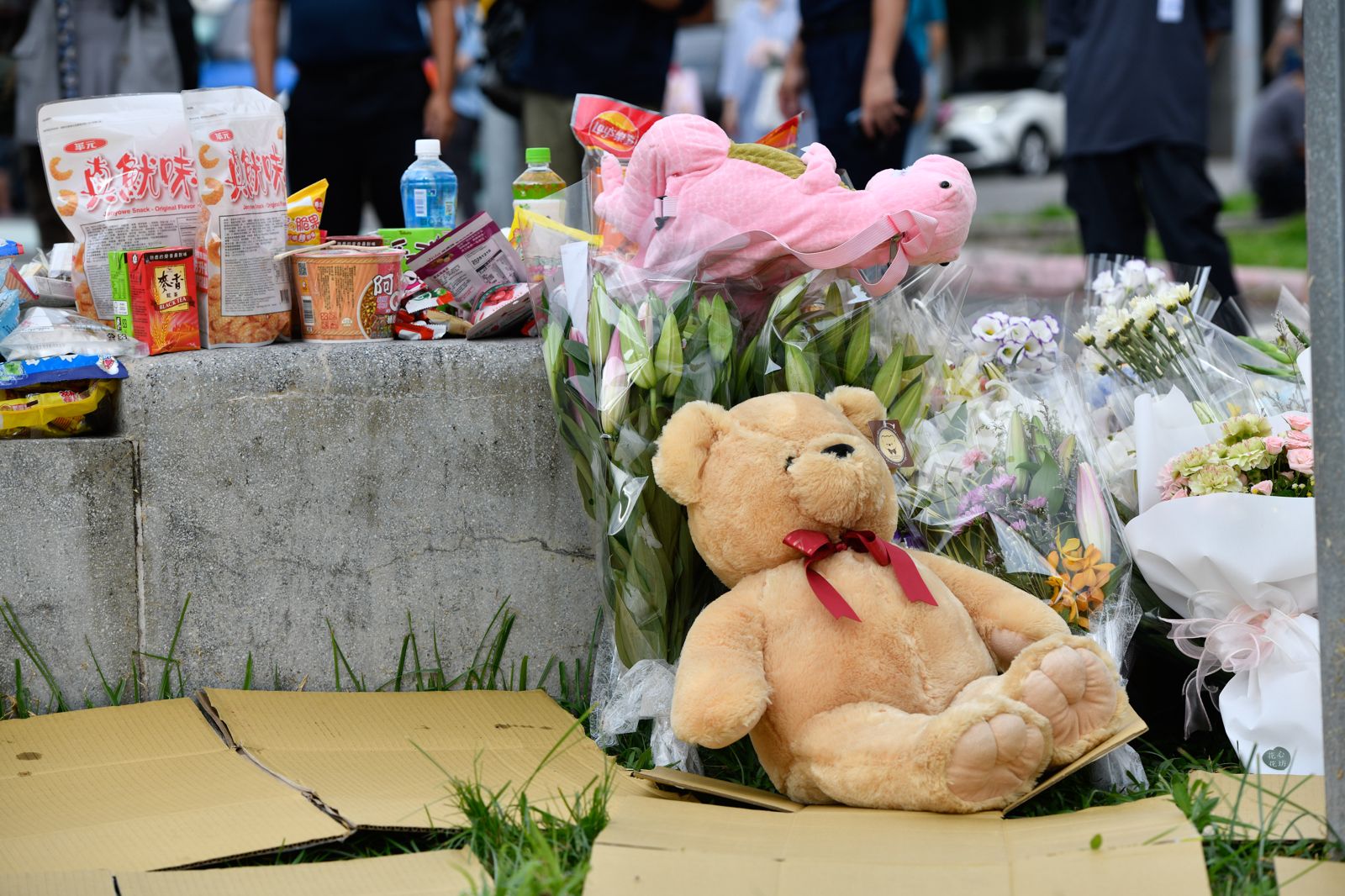 10年死亡數超過3萬　台灣必須用國土韌性來思考交通問題