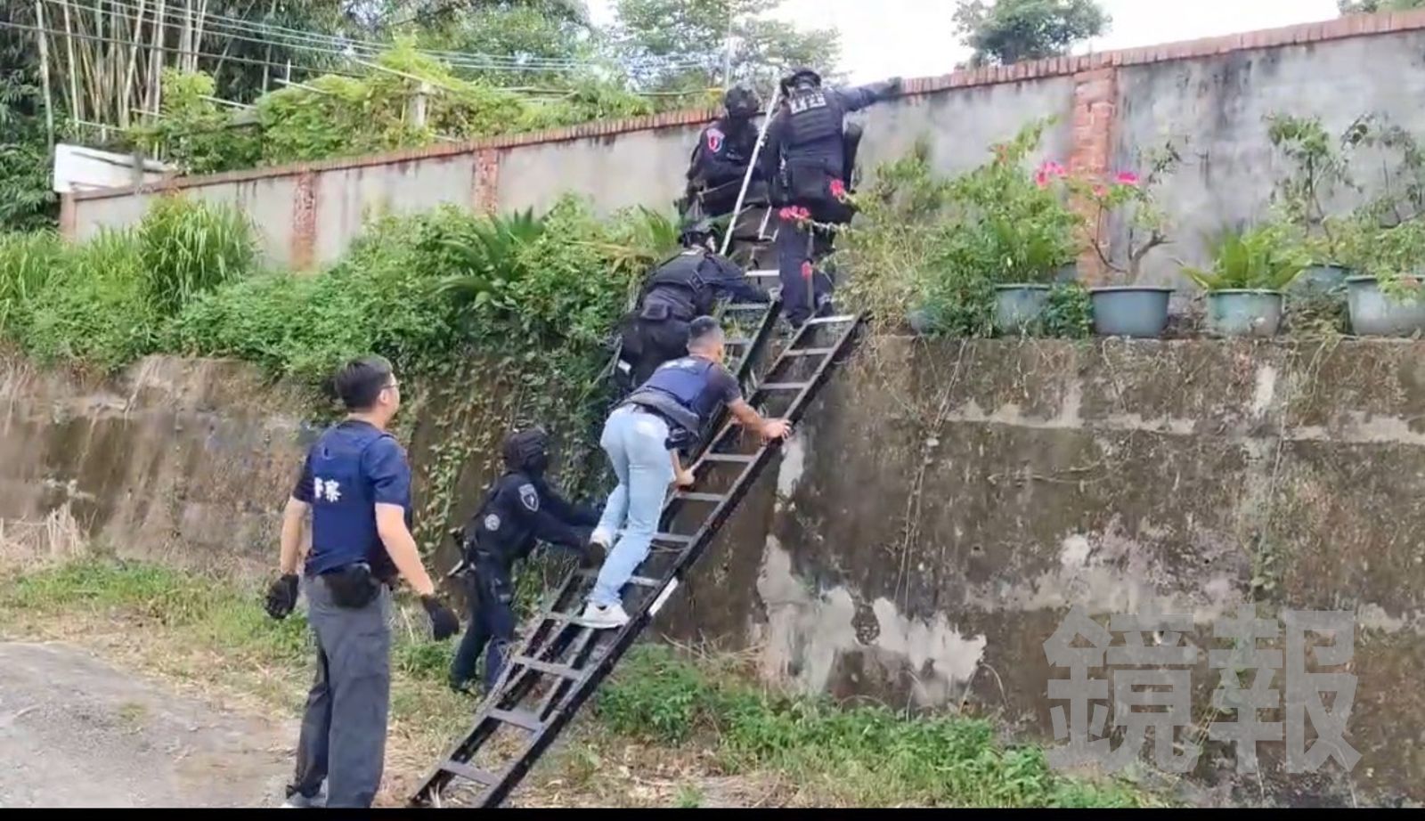 68歲老藥頭販毒半世紀躲苗栗山區　霹靂小組翻牆攻堅活逮