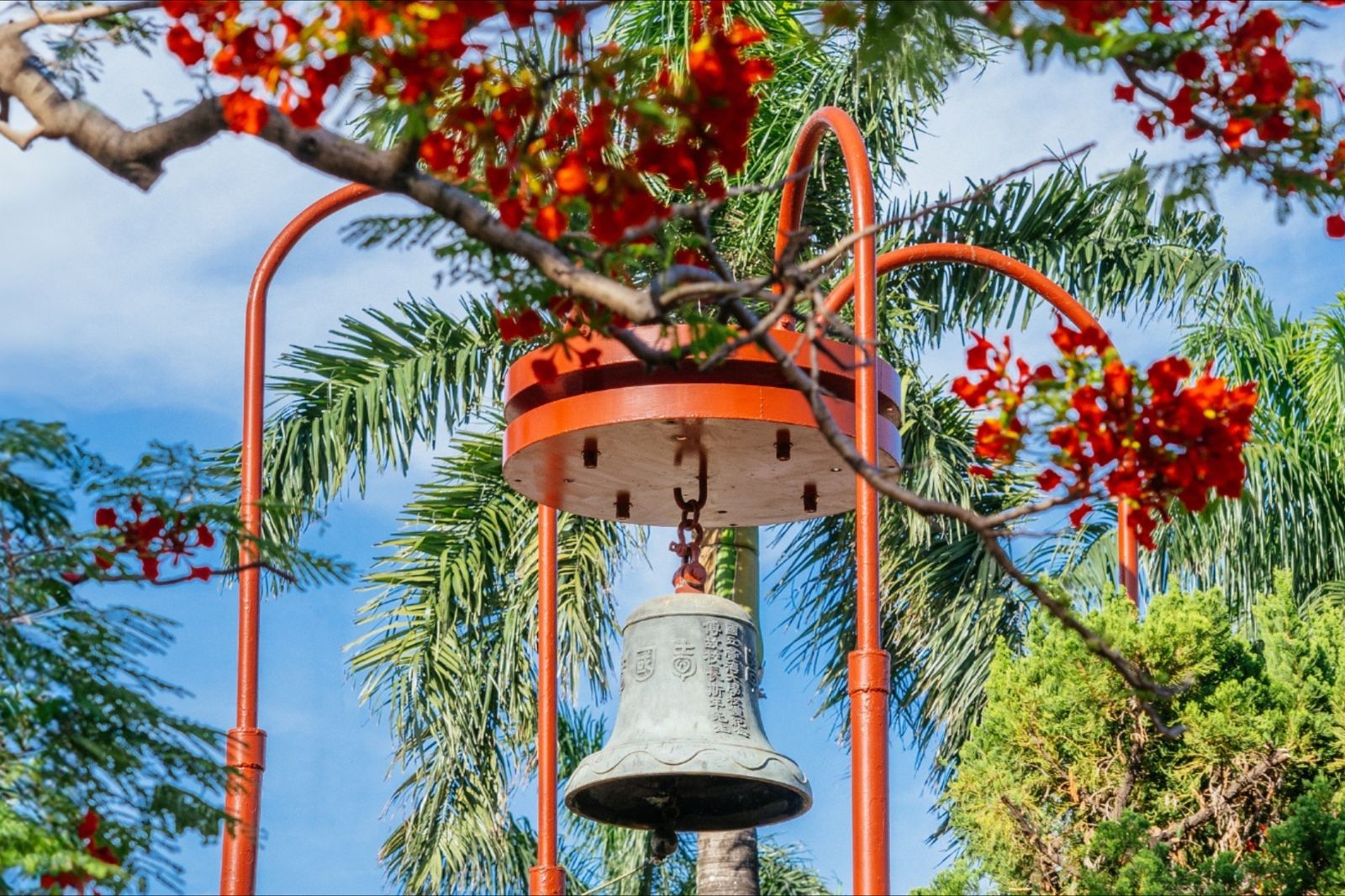 怎麼讀才能考上頂大？臺大生曝身邊只有「4種人」