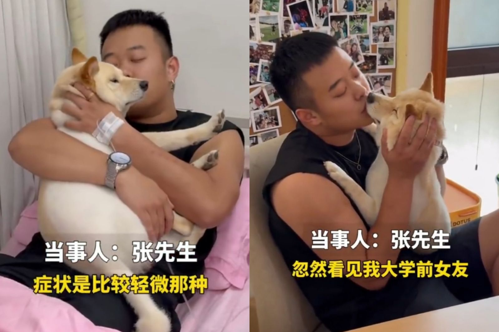 男吃野菇出現幻覺!「把狗認成前女友」狂親7小時 汪星人表情超厭世網笑翻