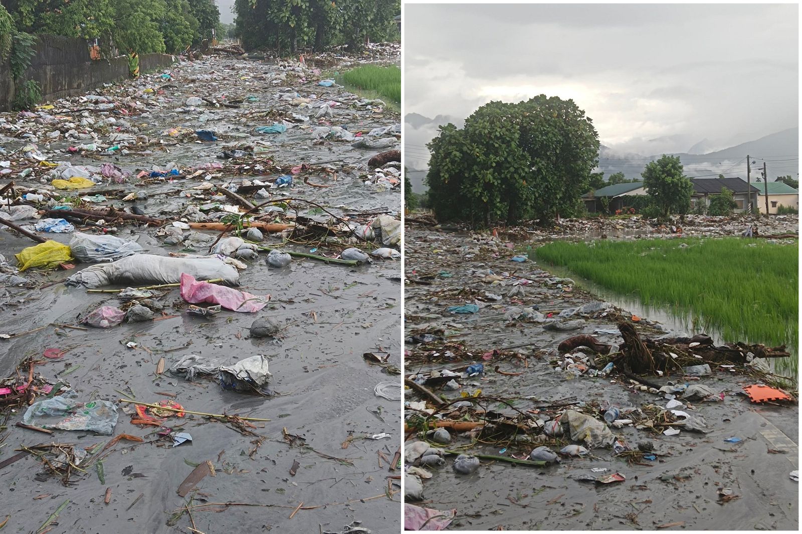 花蓮光復鄉垃圾全都灌到隔壁村　該怎麼清？村長怨已全發臭