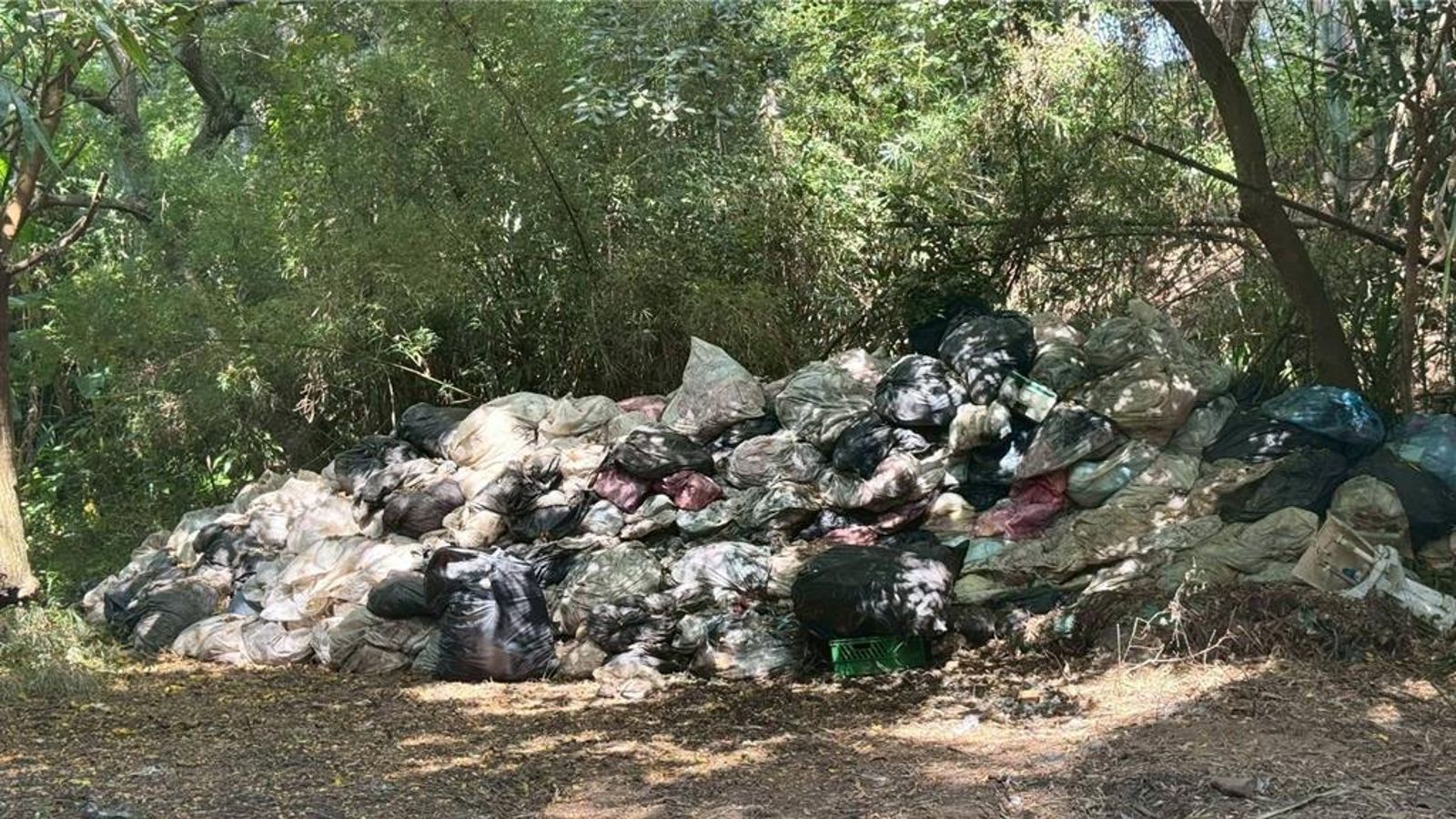 67噸垃圾沒清運!惡臭長達2個多月 竟是為了「保存證據」