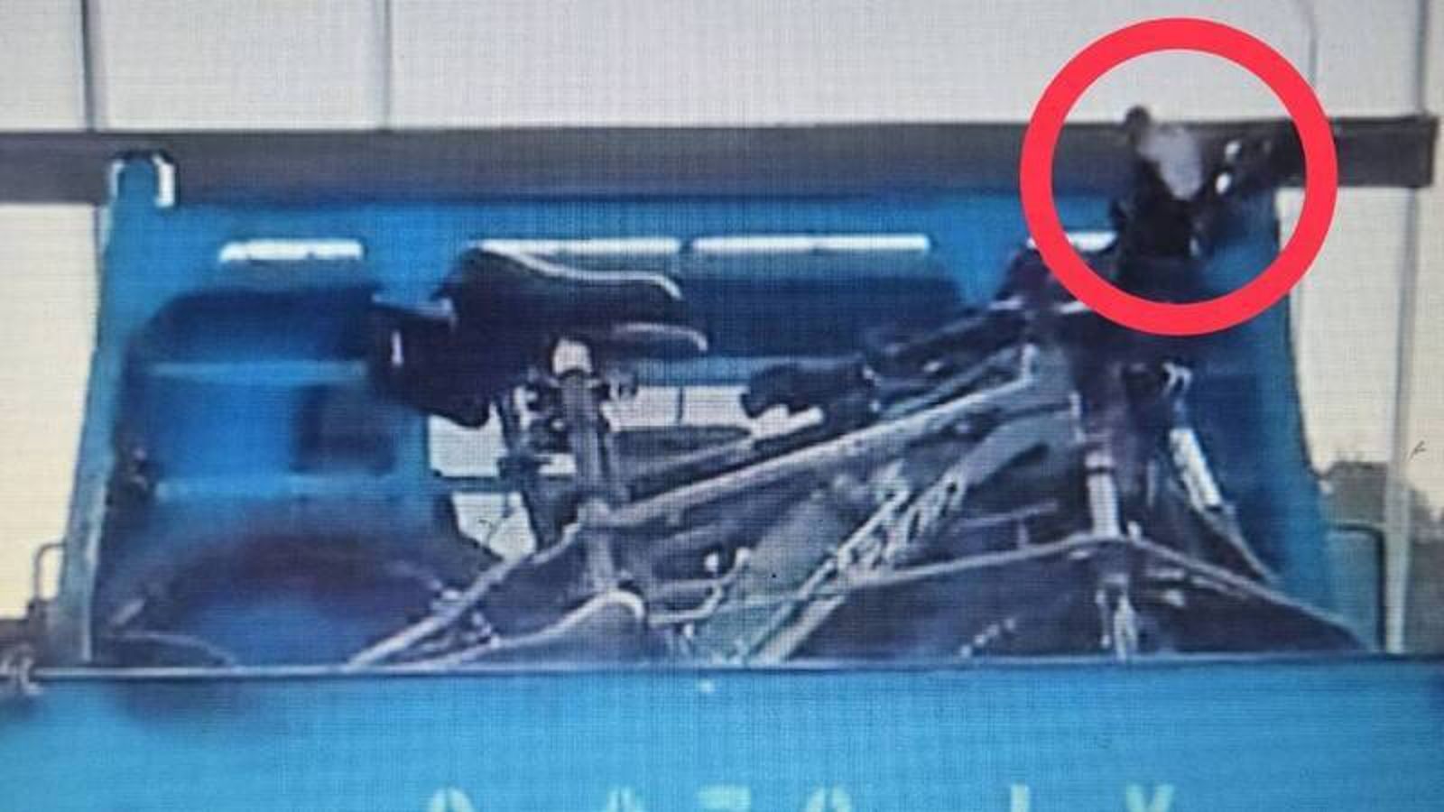 載單車「噴飛一個口罩」慘罰1.2萬!台南男氣炸告官 法官判敗理由曝光