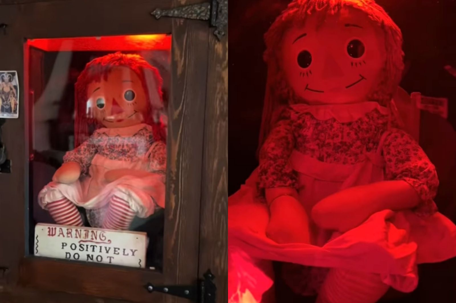 無視華倫夫婦警告「不能移動」！安娜貝爾本尊全美巡展　全網嚇壞了