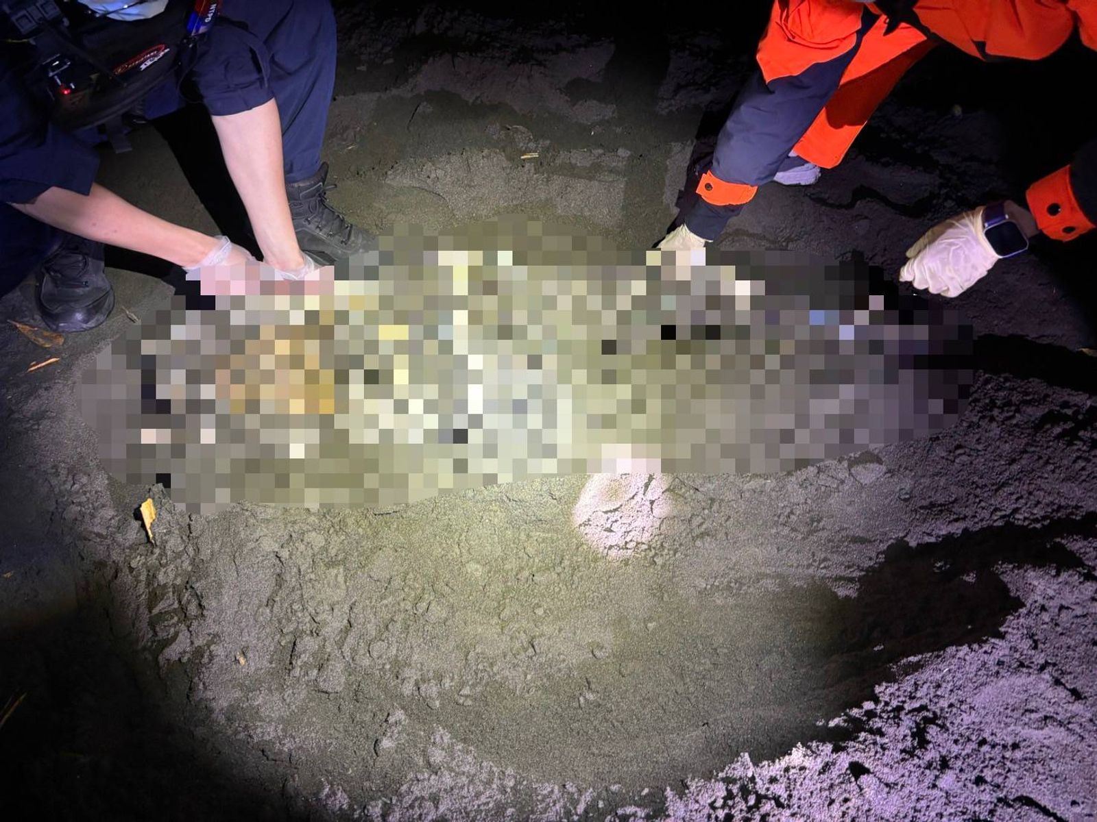 驚悚！淡江大橋未通車　橋下白骨先出土