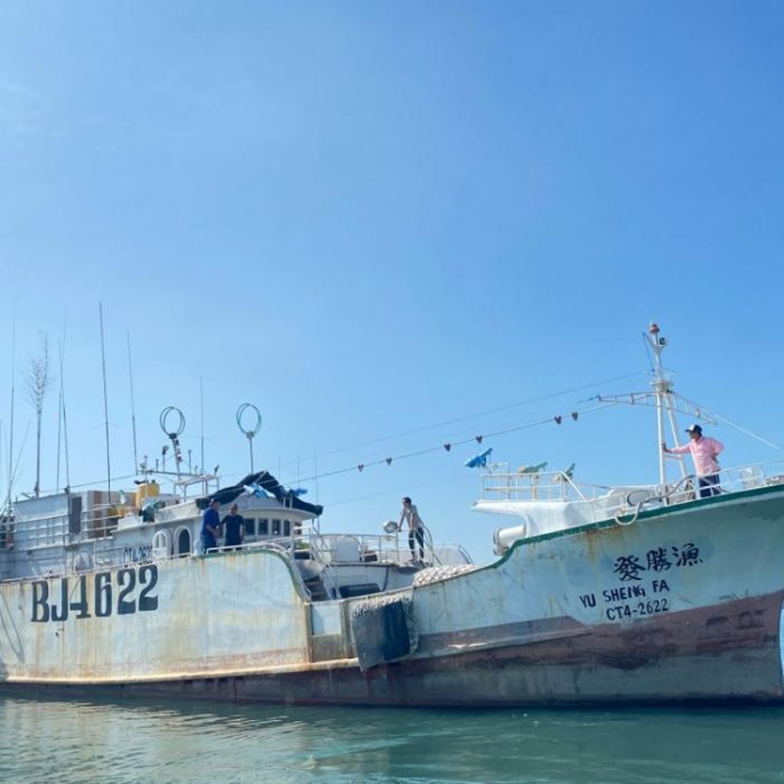 獵捕43隻海豚剁碎成餌誘捕鯊魚 加拿大空中監控揭我漁船惡行 船長船員下場兩樣情