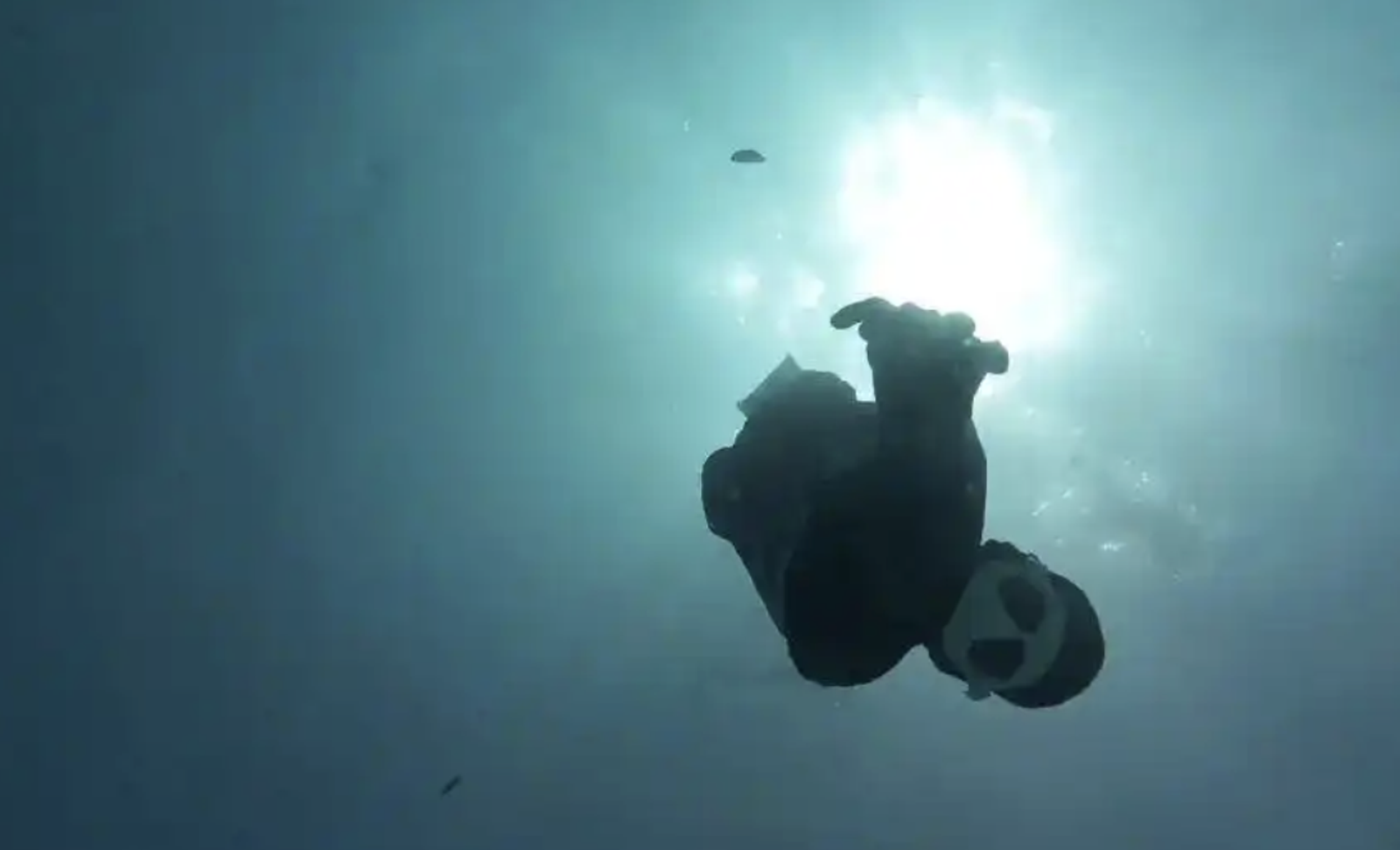 相機被大白鯊「一口吞下」後墜入海底,員工潛入深海撿回相機。圖/翻攝自微博