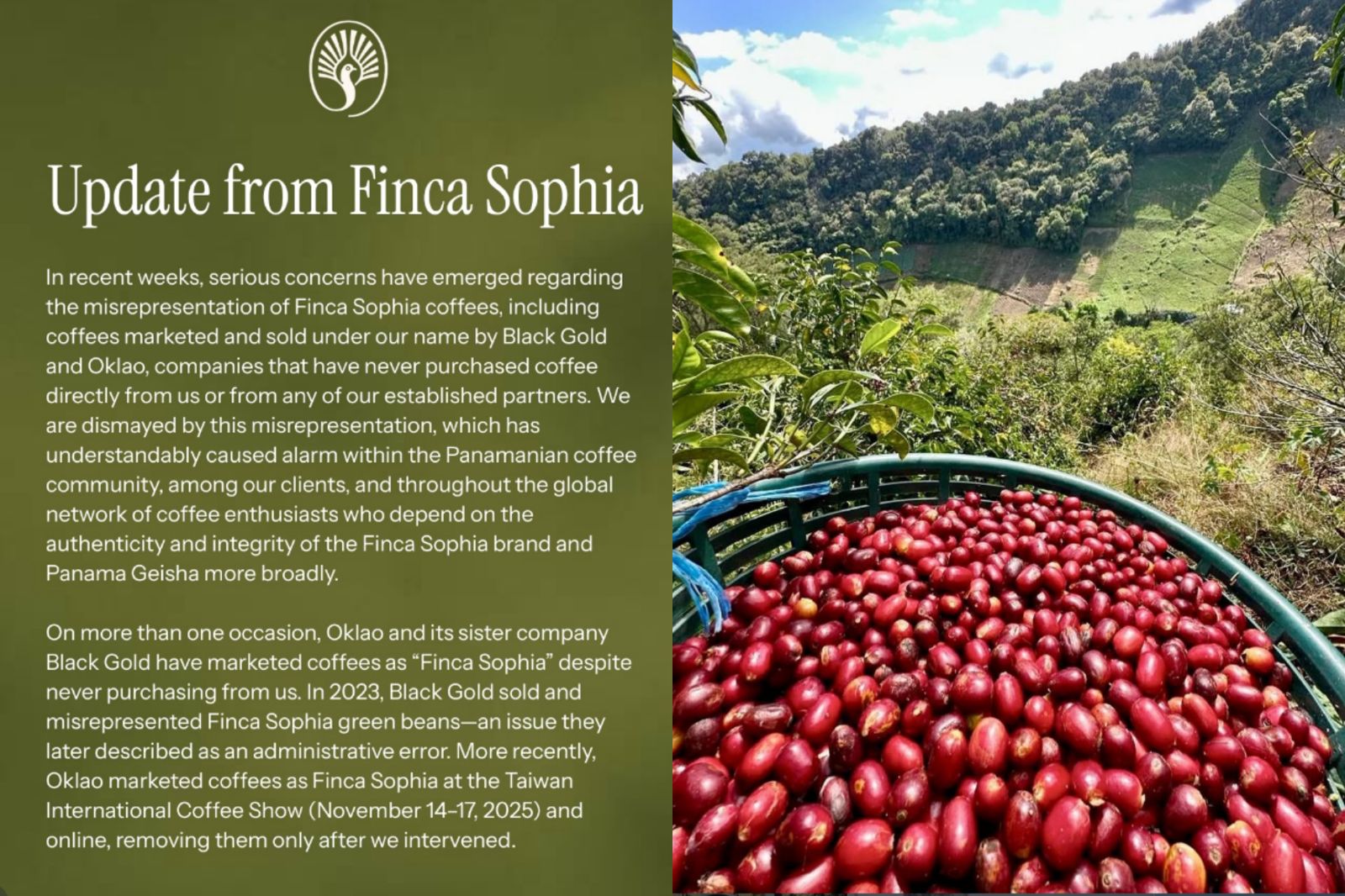 「藝妓教父」跨海控歐客佬詐欺　不買單「誤植」一說
