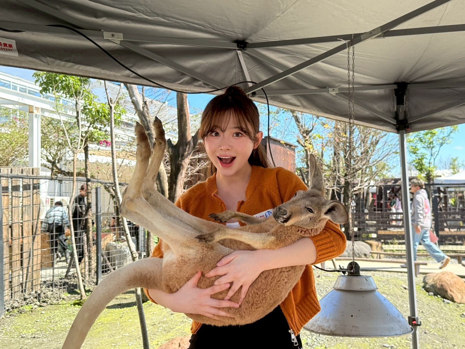 啦啦隊女神金娜妍錄影PK阿翔！累到險退通告　親摸袋鼠蛋蛋驚呼：真的很大