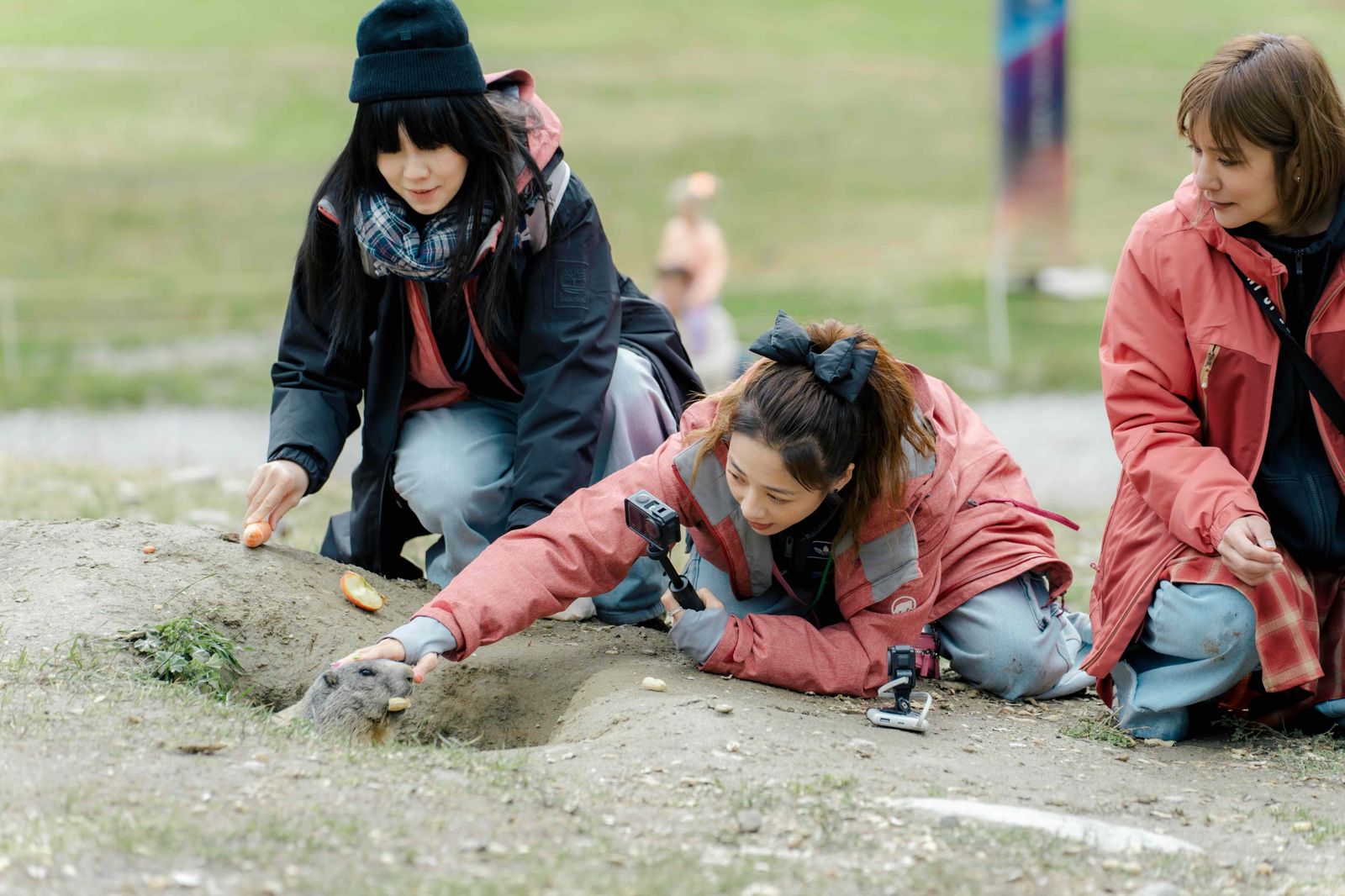 《嗨！營業中》全新一季左起白安、吳映潔、莎莎發現可愛土撥鼠。好看娛樂提供