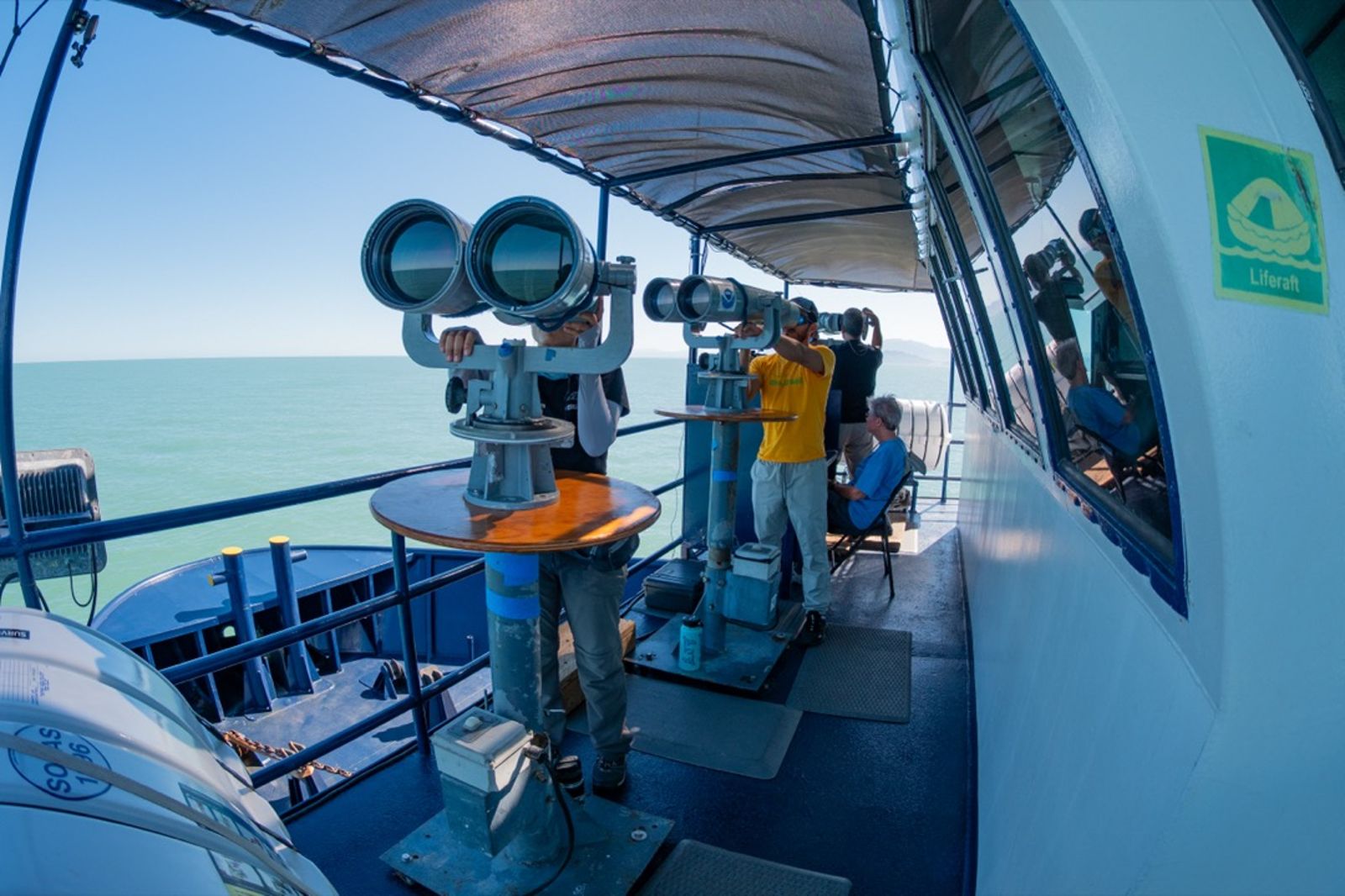 觀察團隊使用巨眼望遠鏡進行監測。圖／翻攝自海洋守護者協會官網