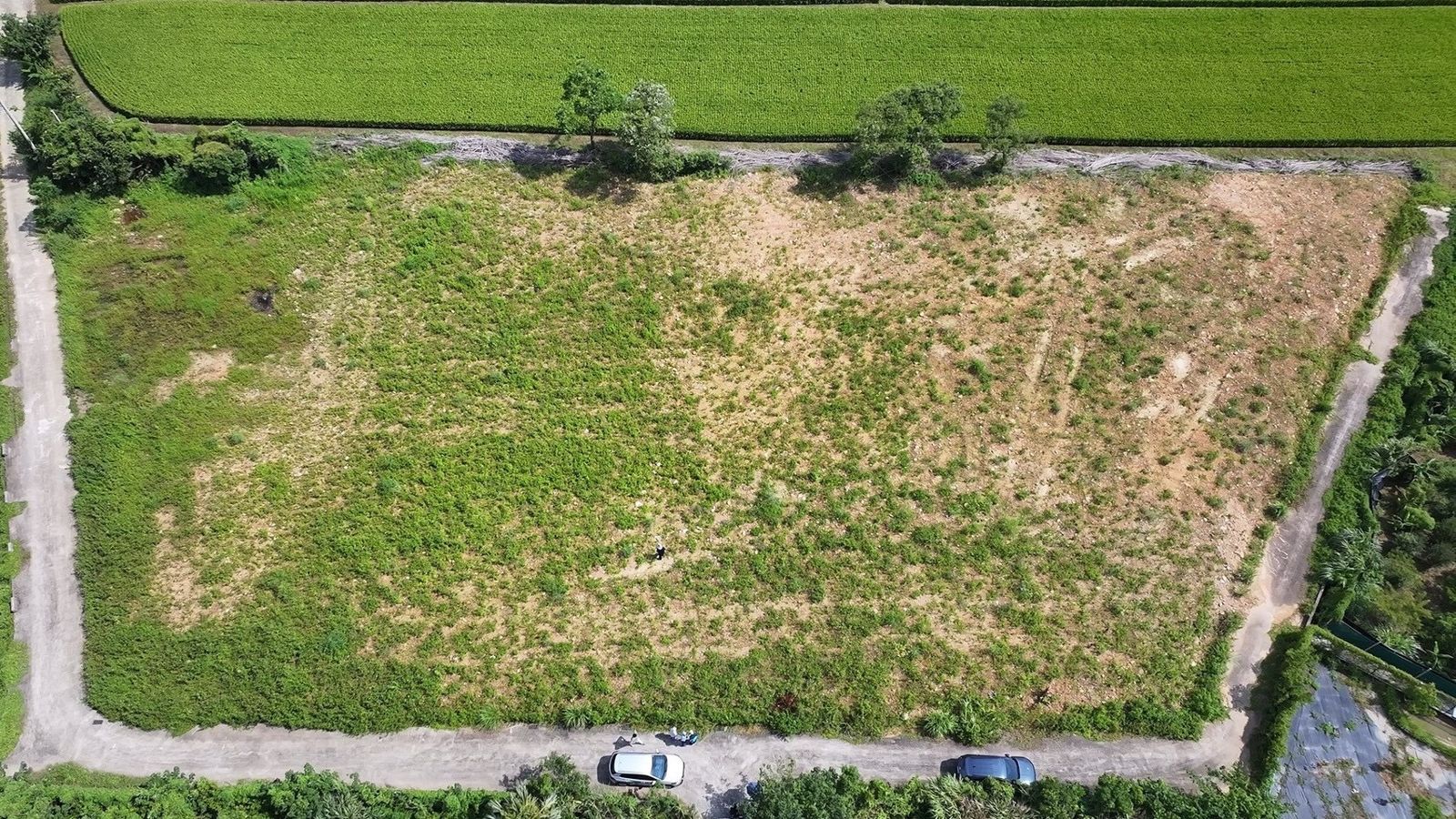 租地「假種花真填廢」！大馬男組非法回填廢棄物集團　2年不法所得逾4.2億