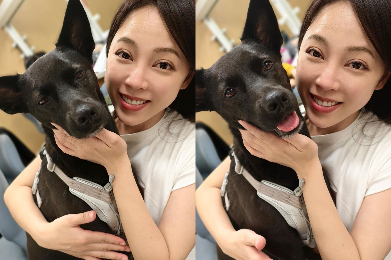 勇兔帶「林七辣」陪拍　曝狗女兒是防渣男神器