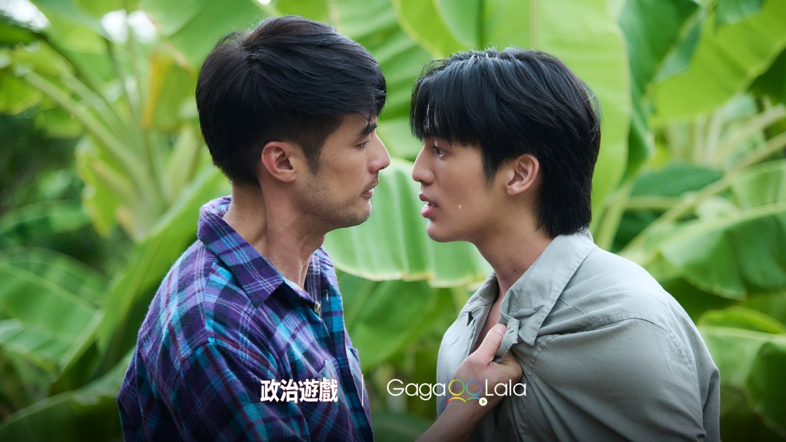 泰國政壇最骯髒BL劇！醫生成政治玩物驚見「致命背叛」　男主學霸藥師出演醫師