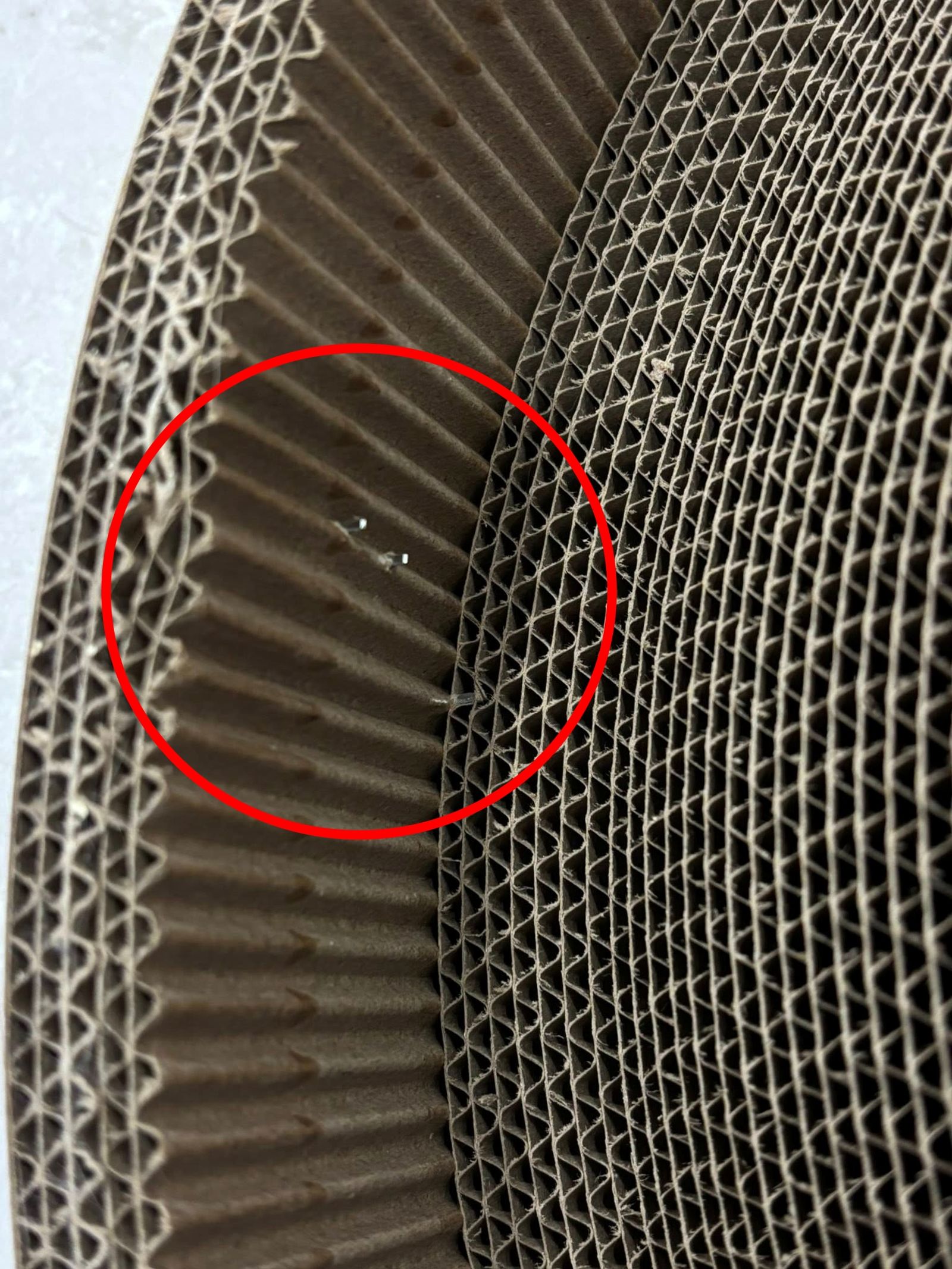 好市多貓抓板被消費者發現有釘書針。圖／Costco好市多 商品經驗老實說FB