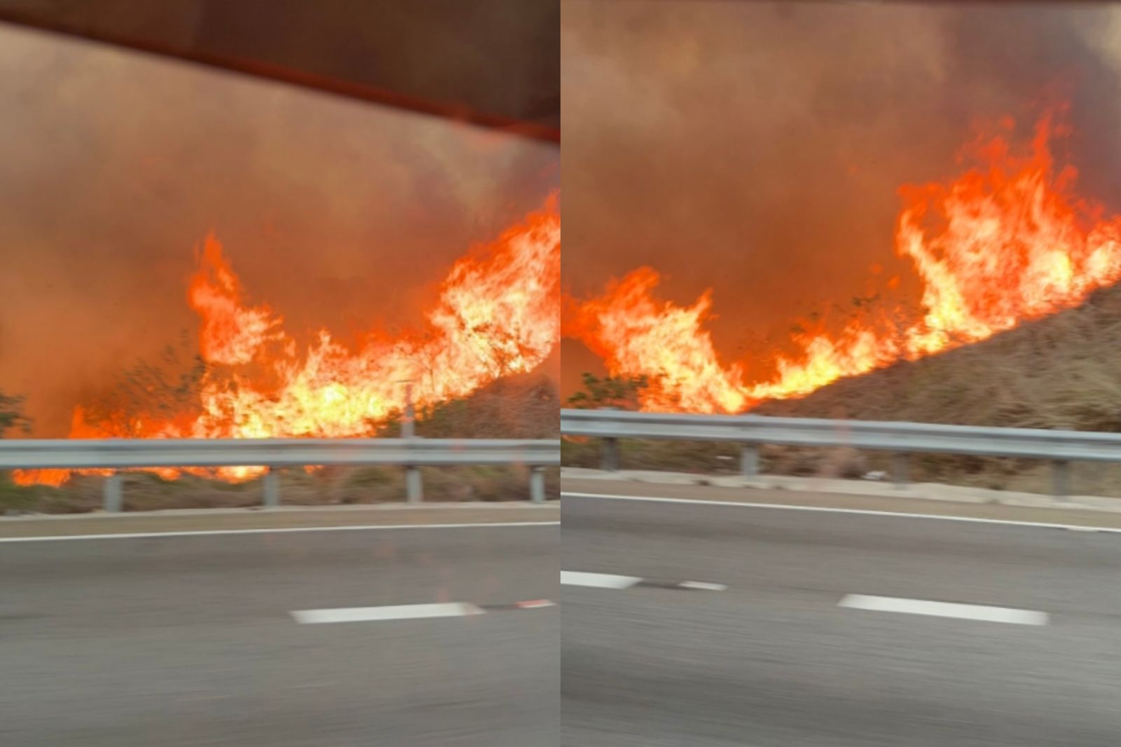 台中沙鹿示範公墓大火！「火龍燒山」濃煙狂竄　離國道僅30公尺