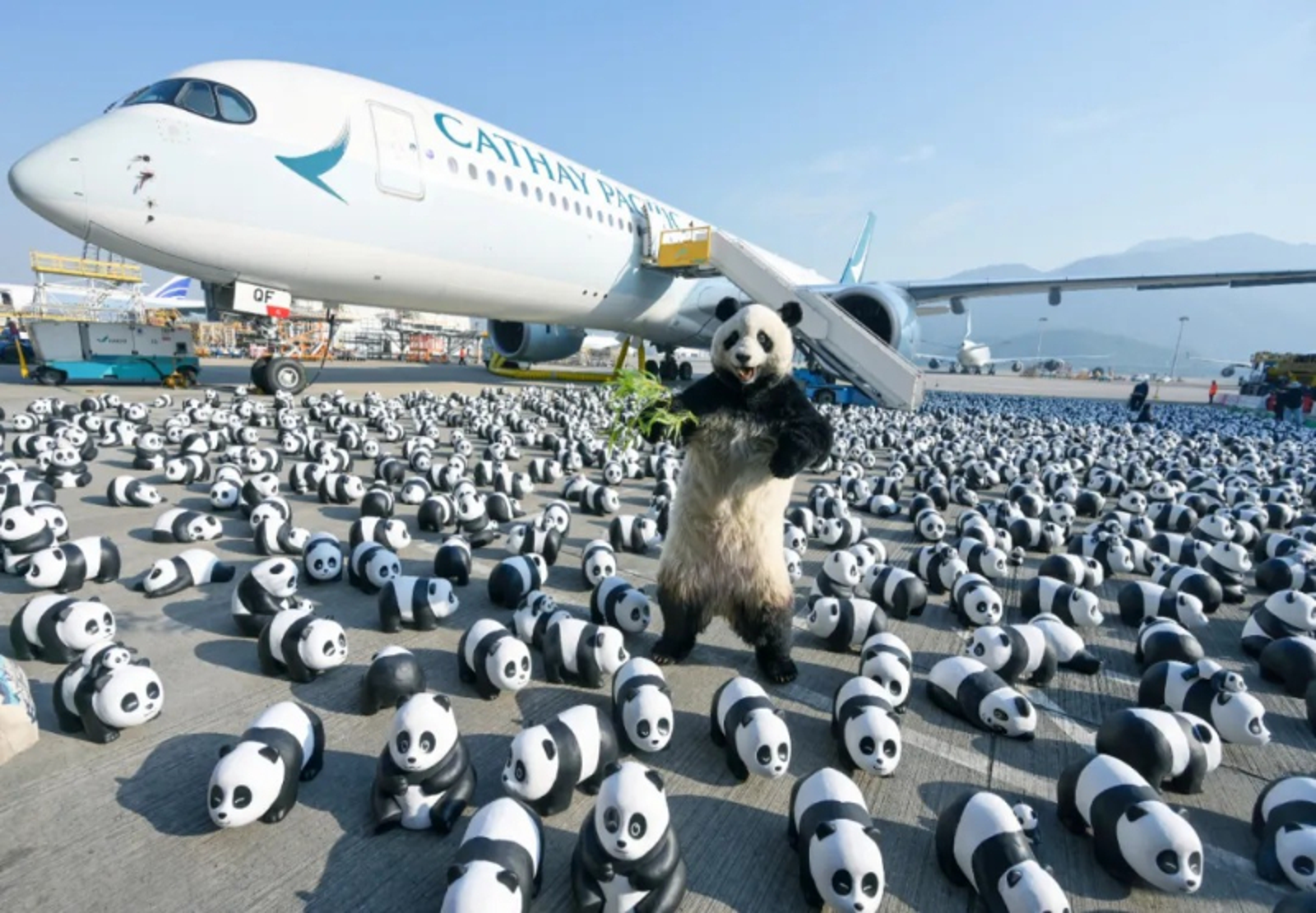 去年底香港國際機場舉行大型熊貓主題展歡迎儀式。圖片取自中國中央人民政府駐香港特別行政區聯絡辦公室