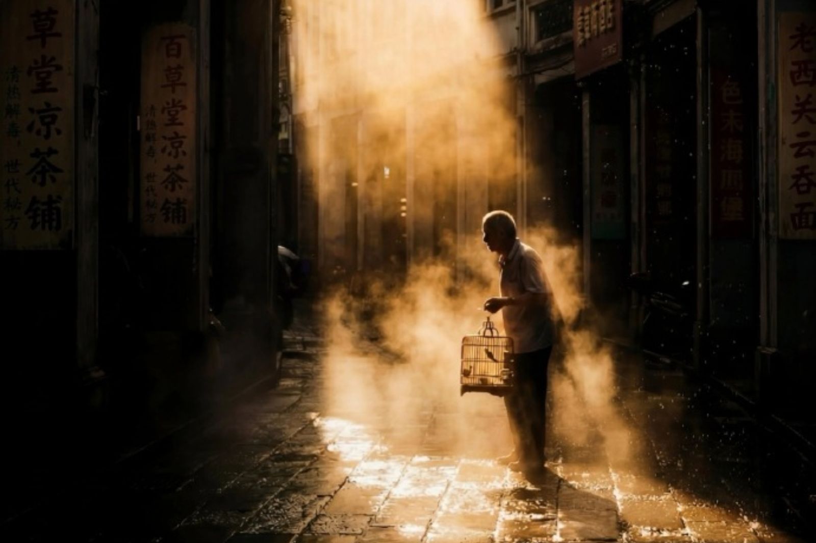 攝影比賽冠軍竟是AI照片！5名專業評審都沒發現　網批：普通人都看得出來