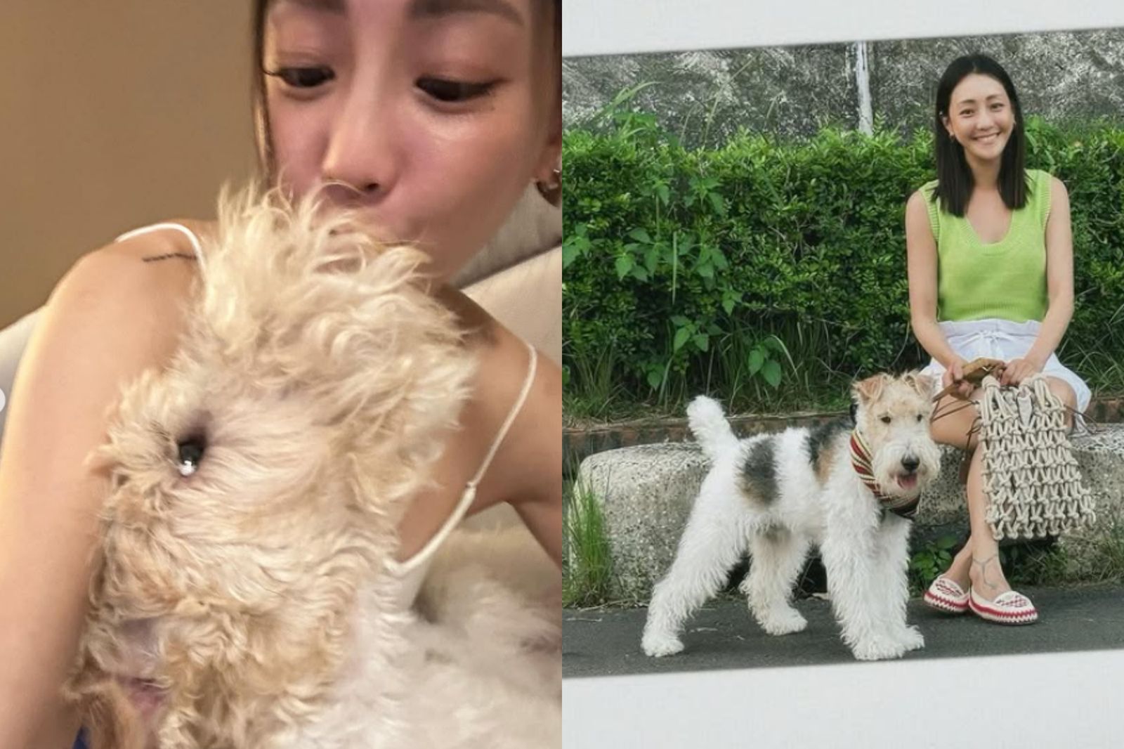 謝欣穎IG上有滿滿與Cooper的放閃照。翻攝nikki_hsieh IG