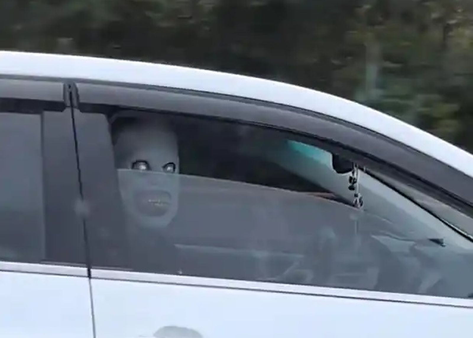 恐怖面具怪客竄高速公路嚇人畫面曝　「死亡凝視」嚇壞人惹怒網喊重罰