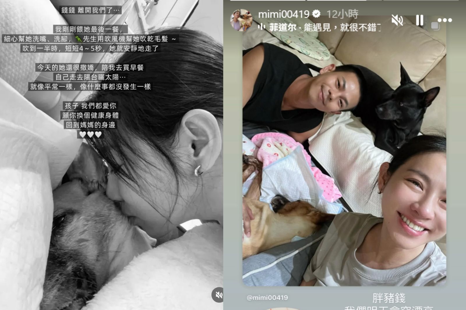 米可白13歲愛犬「錢錢」離世，她在社群發悼念文。翻攝米可白IG