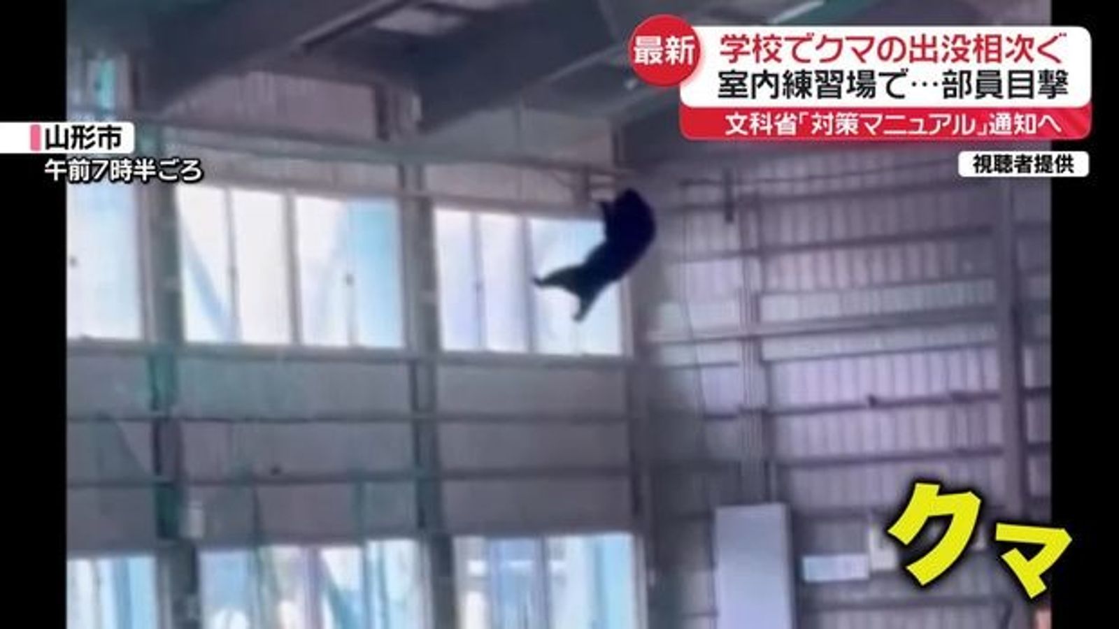 日本又爆「熊害」！闖入體育館做引體向上　網驚：比人類勤健身