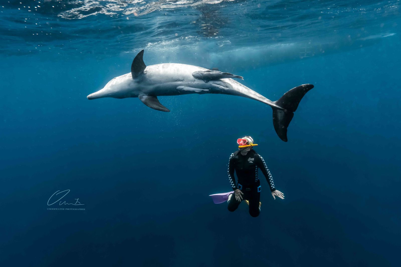 周杰倫才剛出新歌彈頭曝「驚人版稅」喊話要跟上腳步