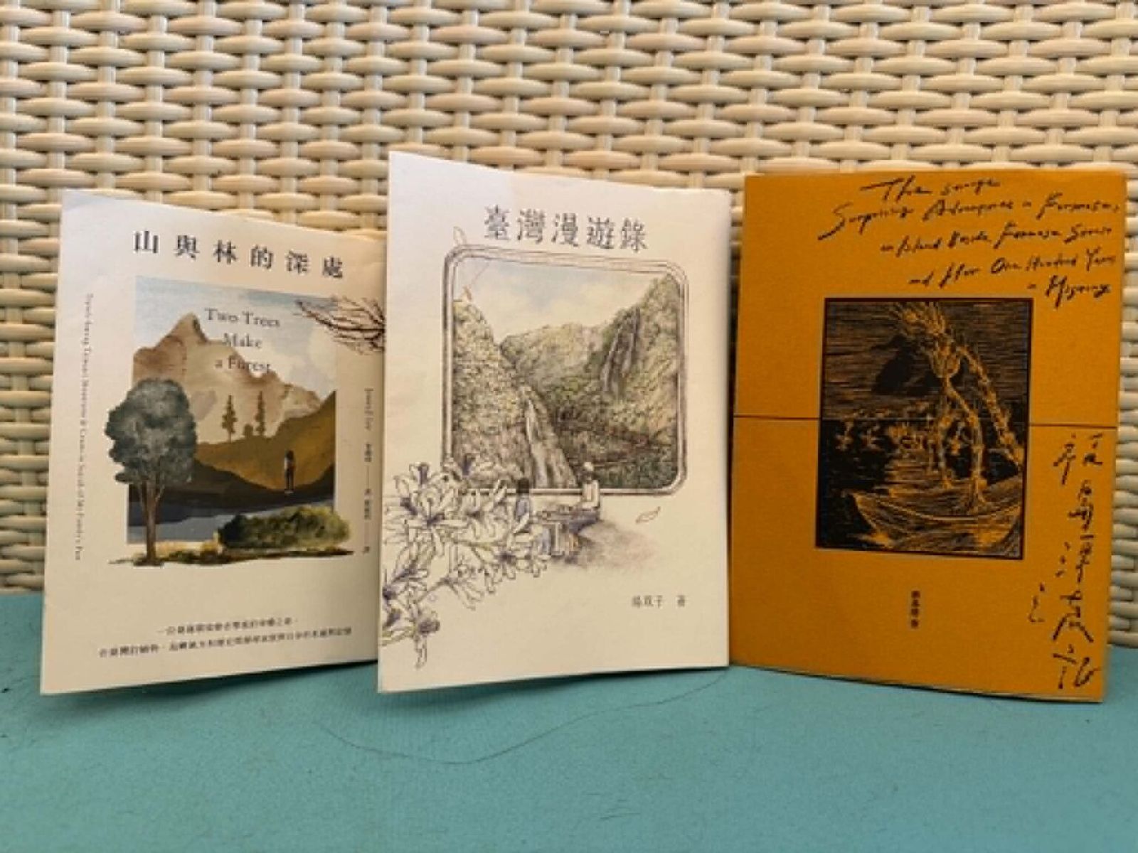 漫遊或漂流:在這座以台灣為名的純真博物館