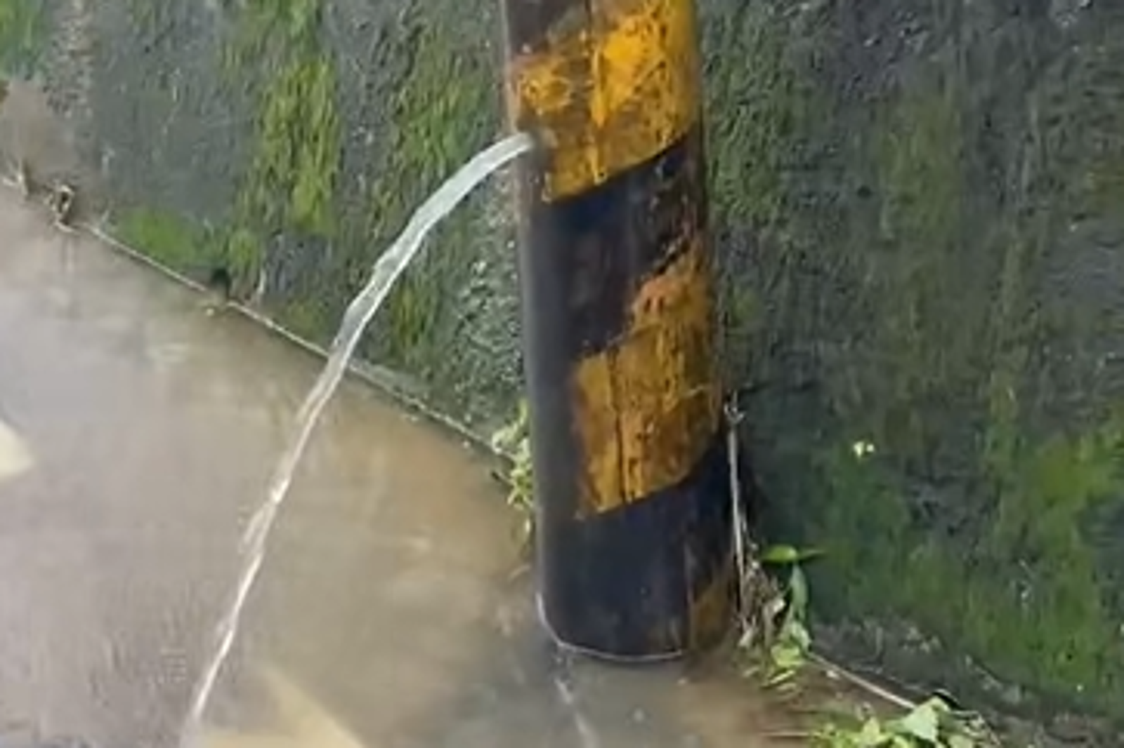 網驚見電線桿「尿尿」狂噴水　以為男的！台電曝原因：別靠近有危險
