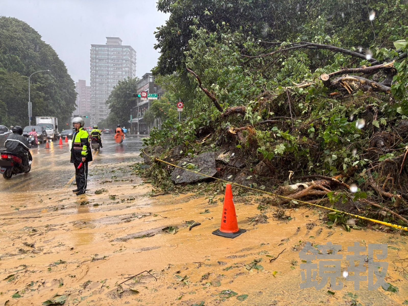 塞車片/汐止上班時段塞爆了!路樹倒塌阻路公所急搶通