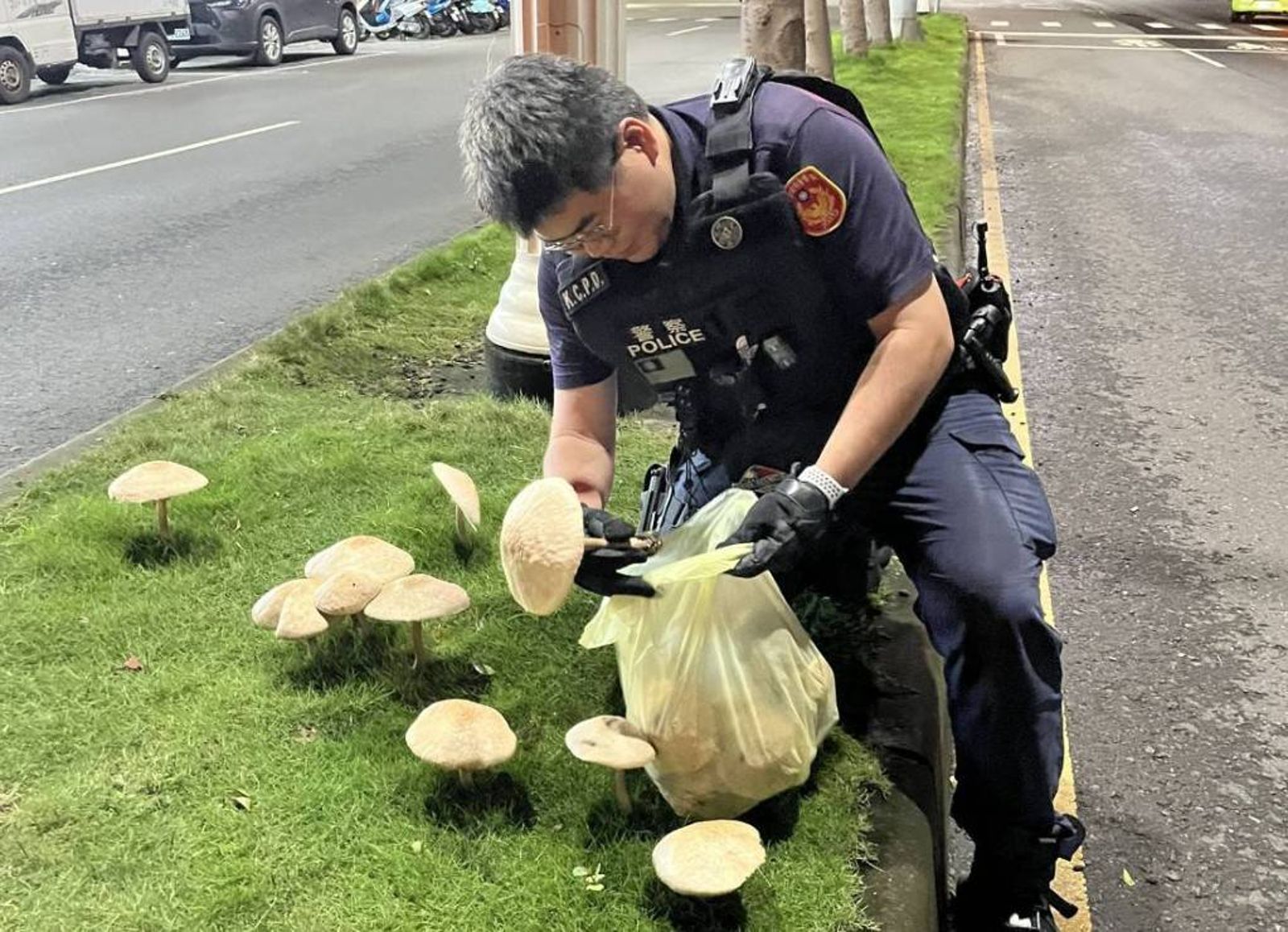 高雄打卡新熱點「菇掰」!分隔島冒香菇 路人圍觀拍照阻交通 警連夜摘除
