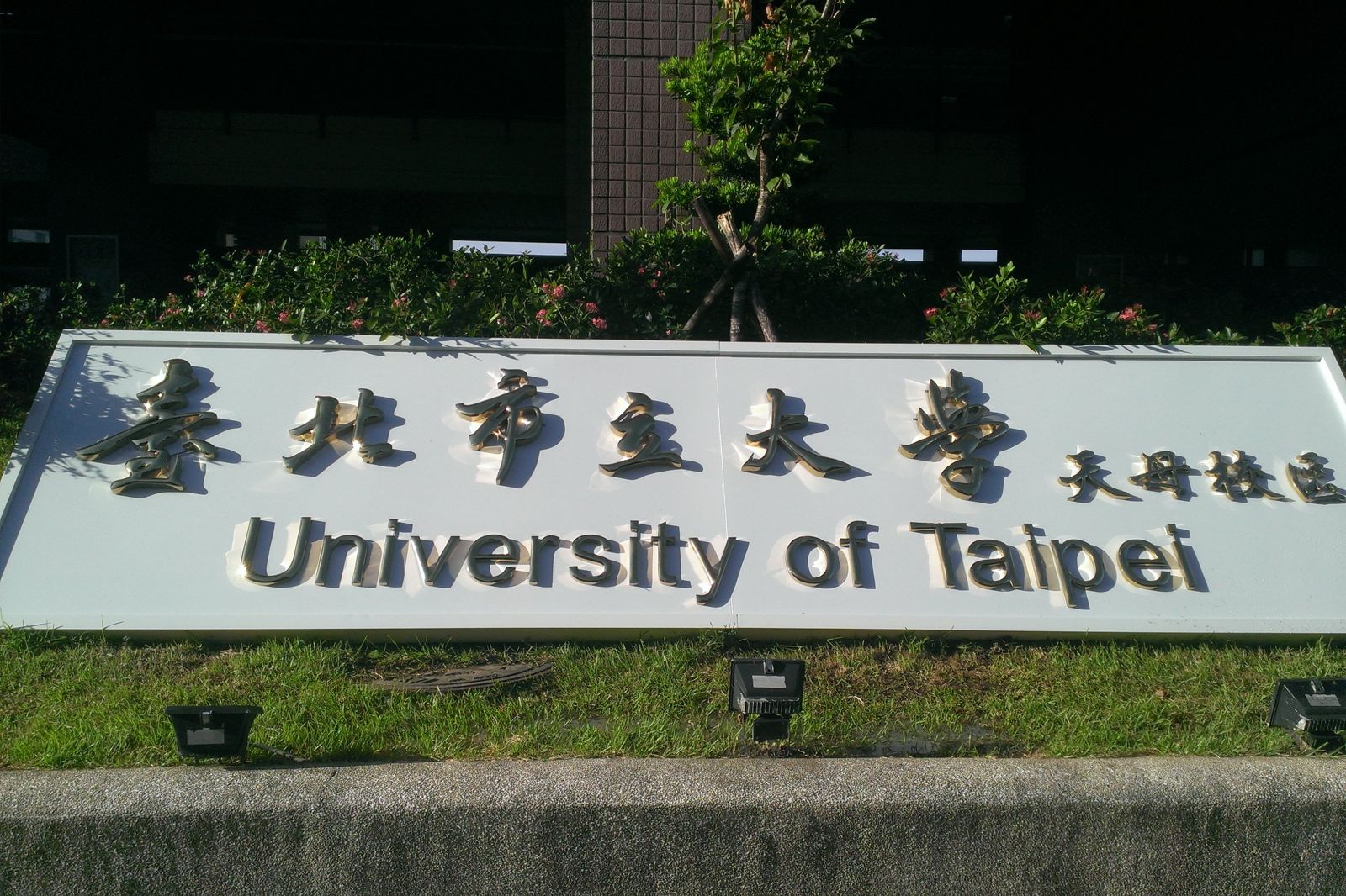 北市大傳「桃色風波」！校長及體育院長均被目擊親密互動