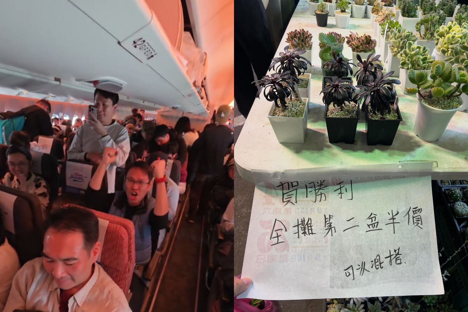 台灣隊贏了!班機延飛乘客狂喊「TEAM TAIWAN」 花市也廣播賽況超暖心