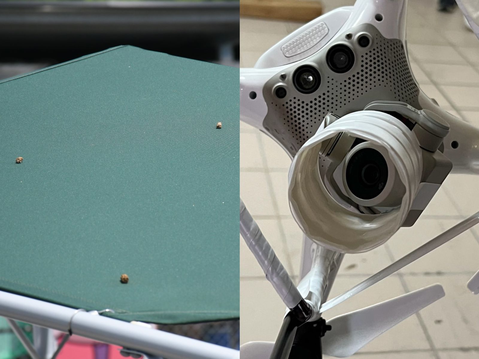 農場之子投毒畫面曝！毒飼料卡陽傘成鐵證　行凶無人機遭查扣