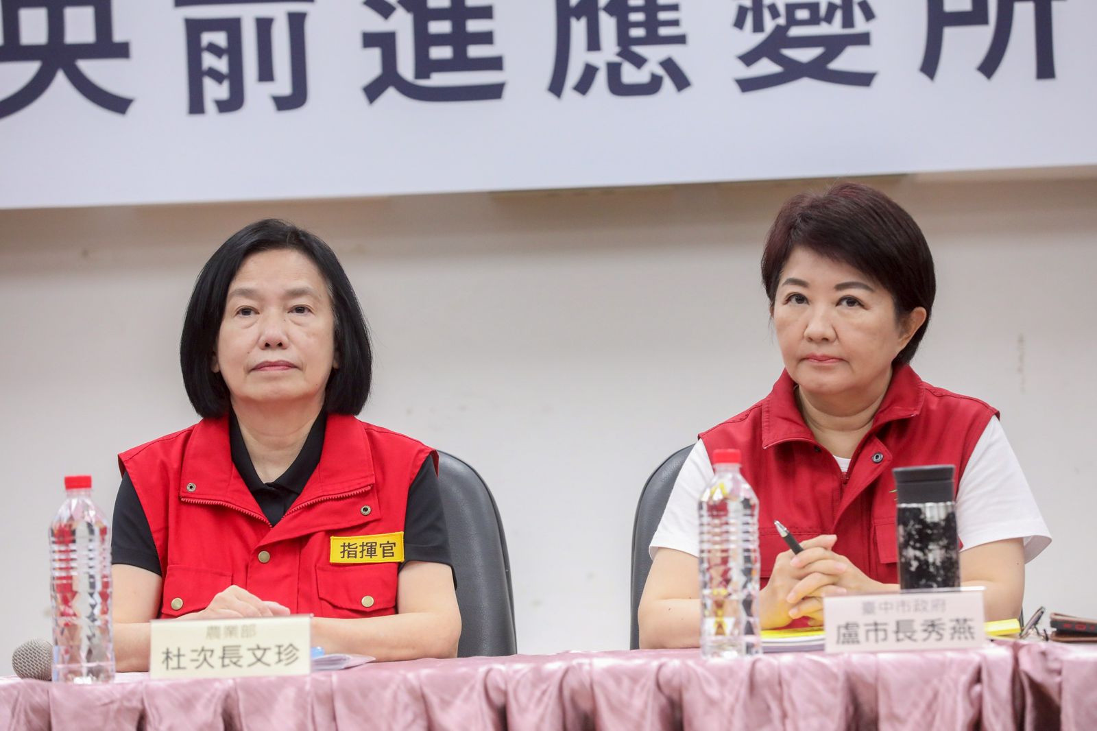 未來疫情解禁豬價恐崩跌 農業部:會統一協調確保市場秩序